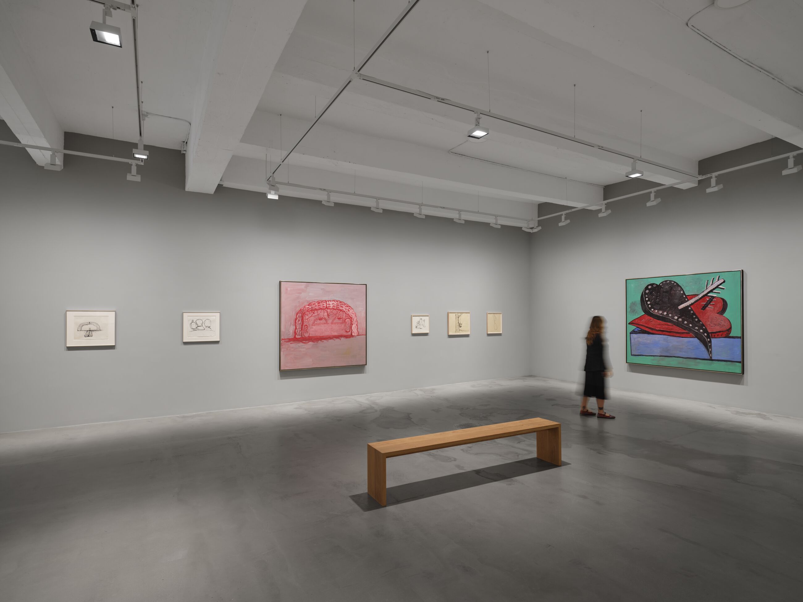 Installation view image for Installation Views