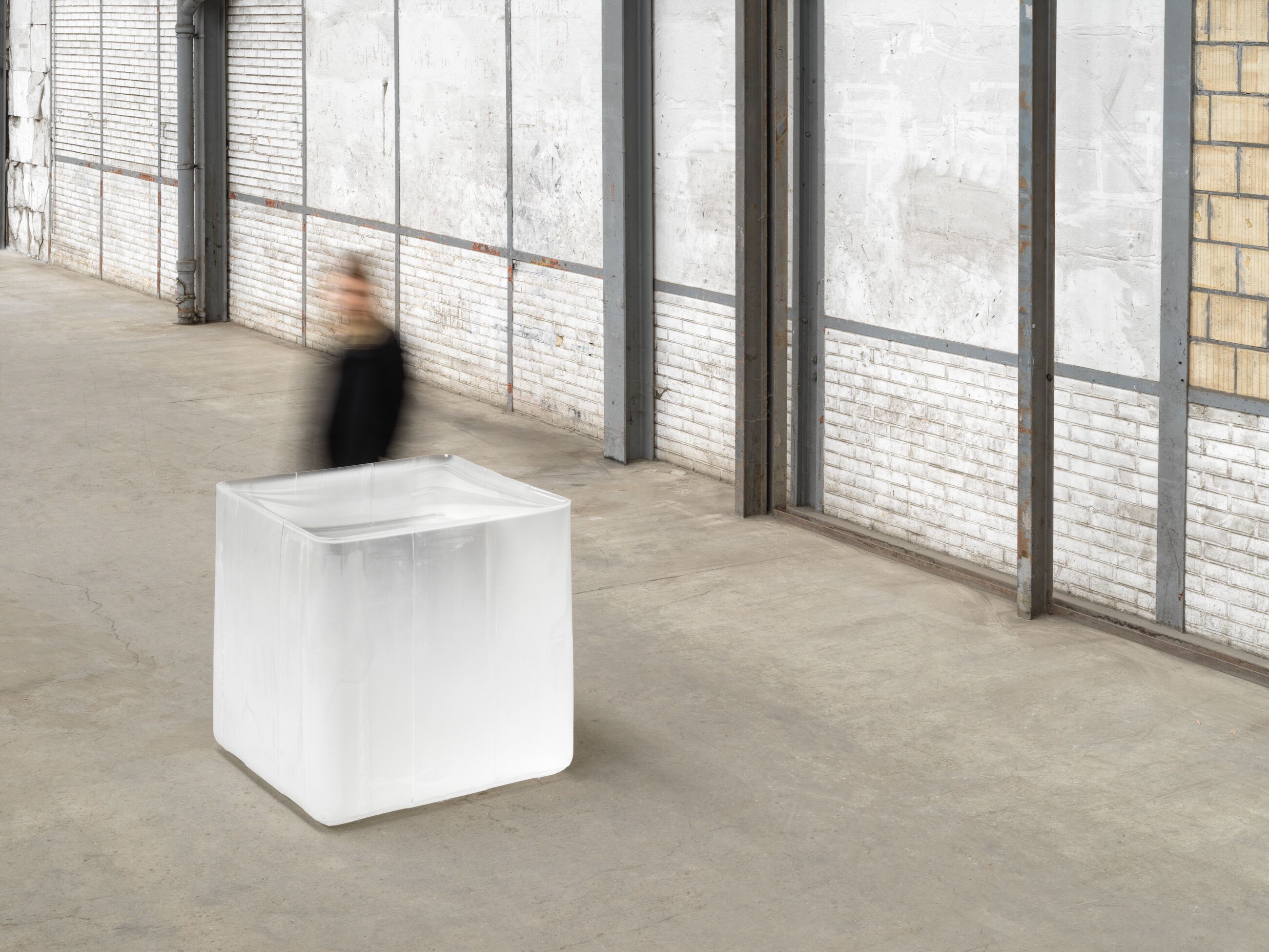 Image for exhibition titled Roni Horn