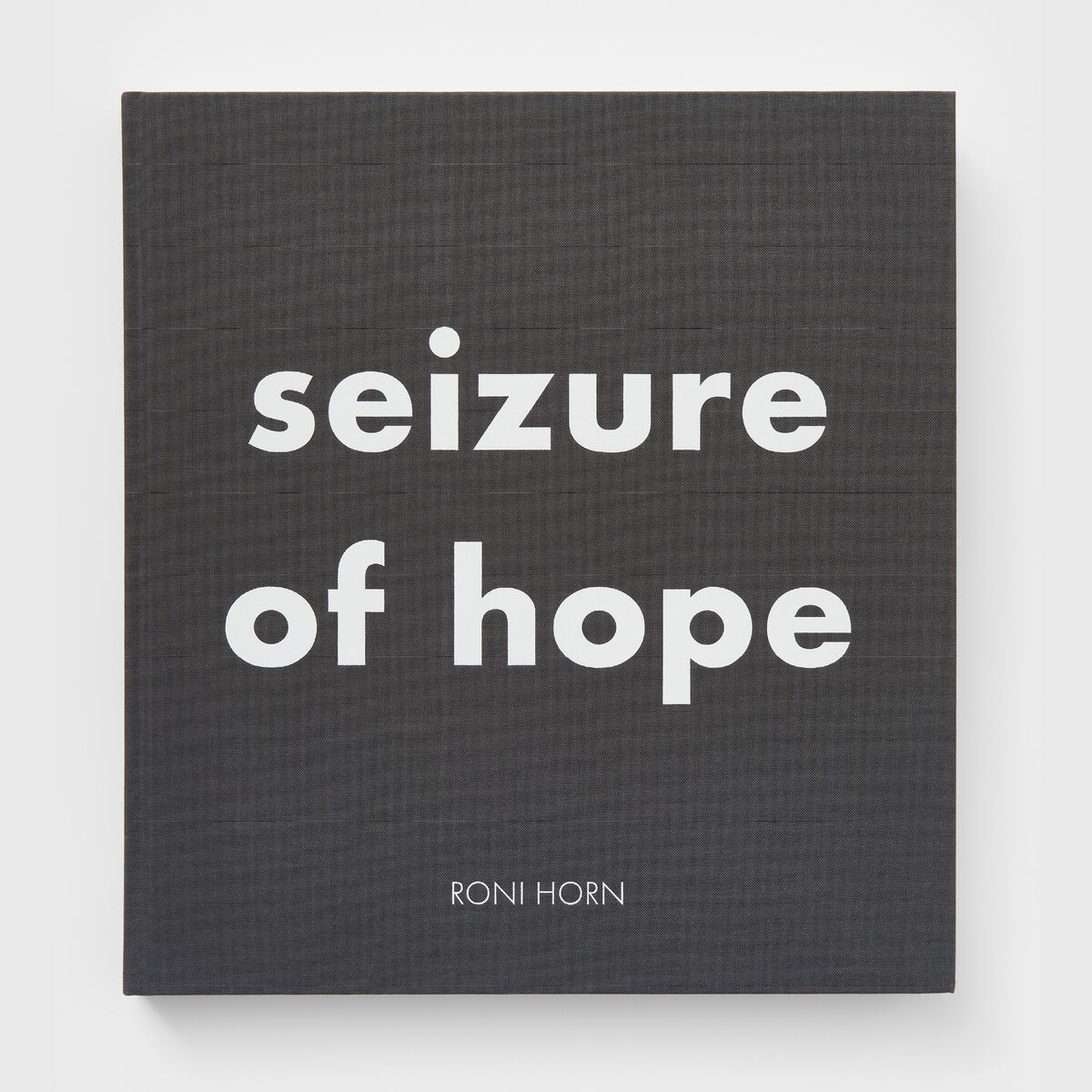 Image for Roni Horn: Seizure of Hope