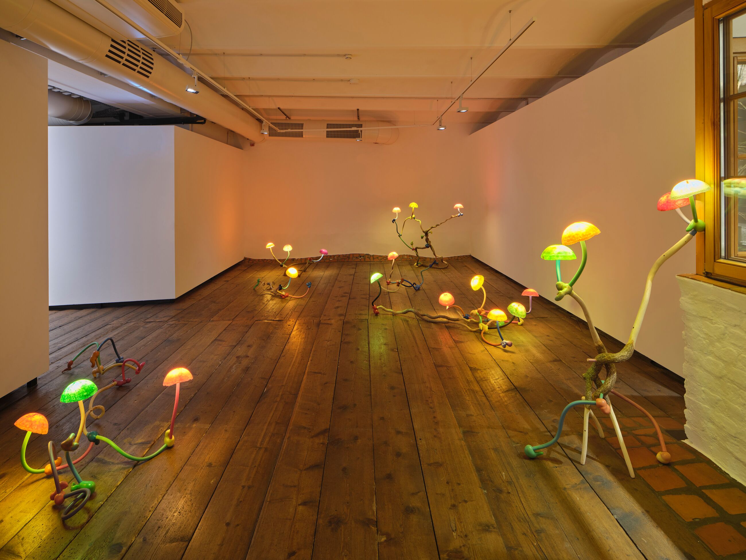 Thumbnail image for exhibition titled Mika Rottenberg<br>Antimatter Factory