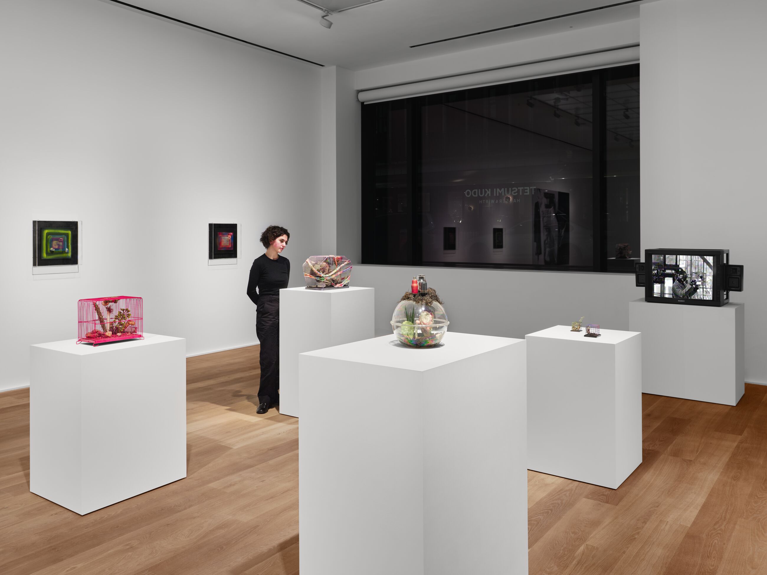 Installation view image for Installation Views