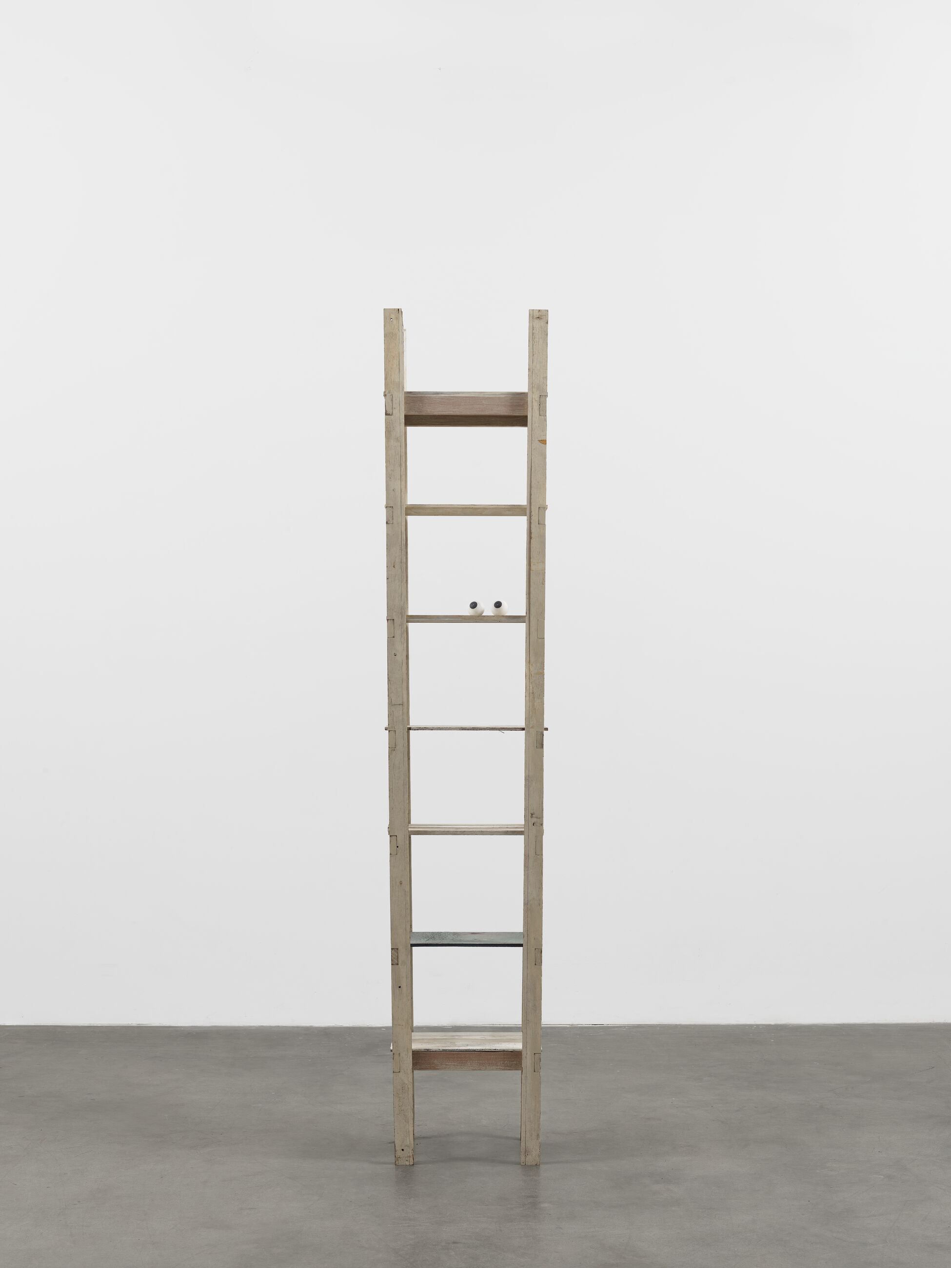 Image for exhibition 