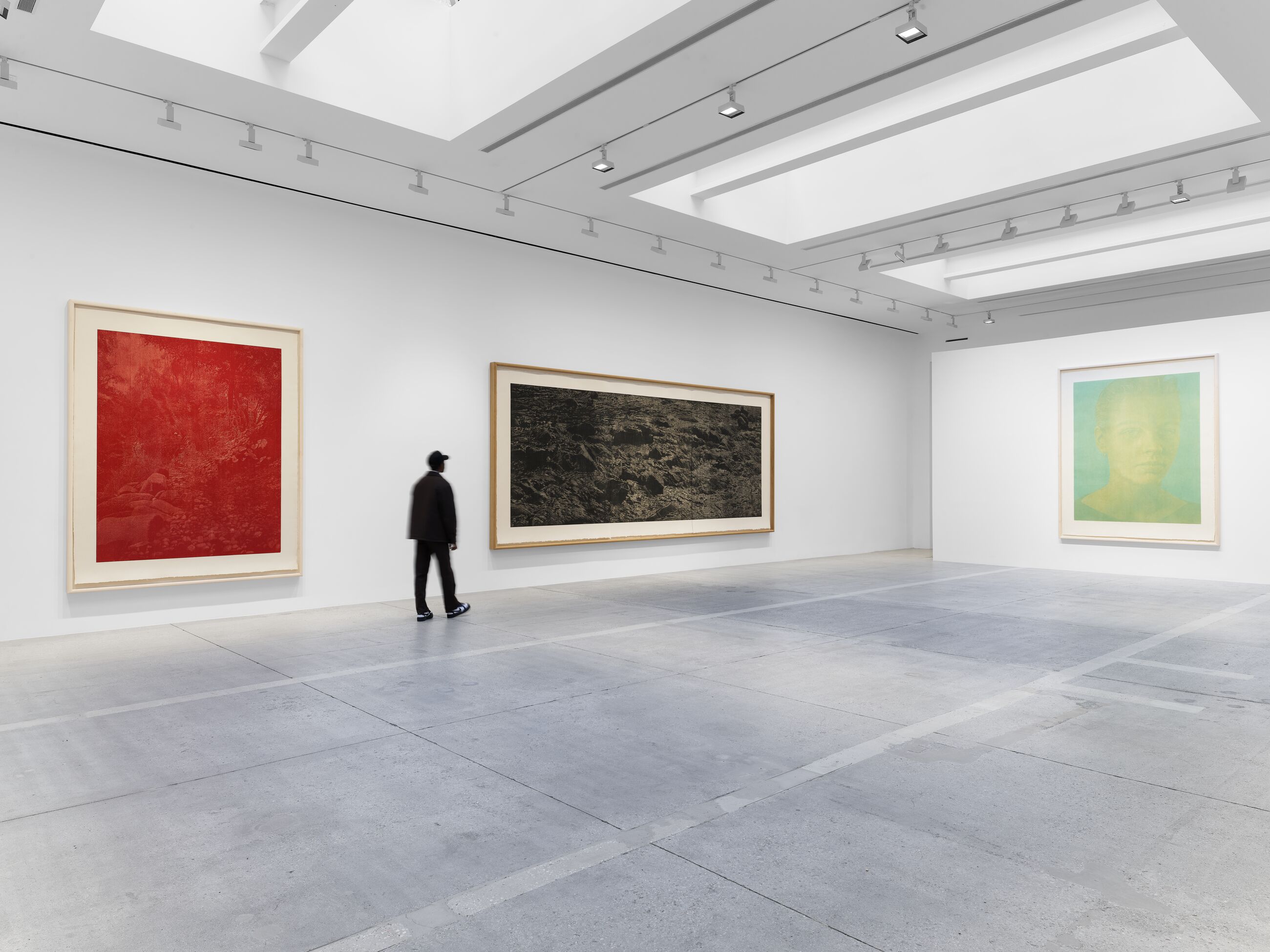 Installation view image for Installation Views