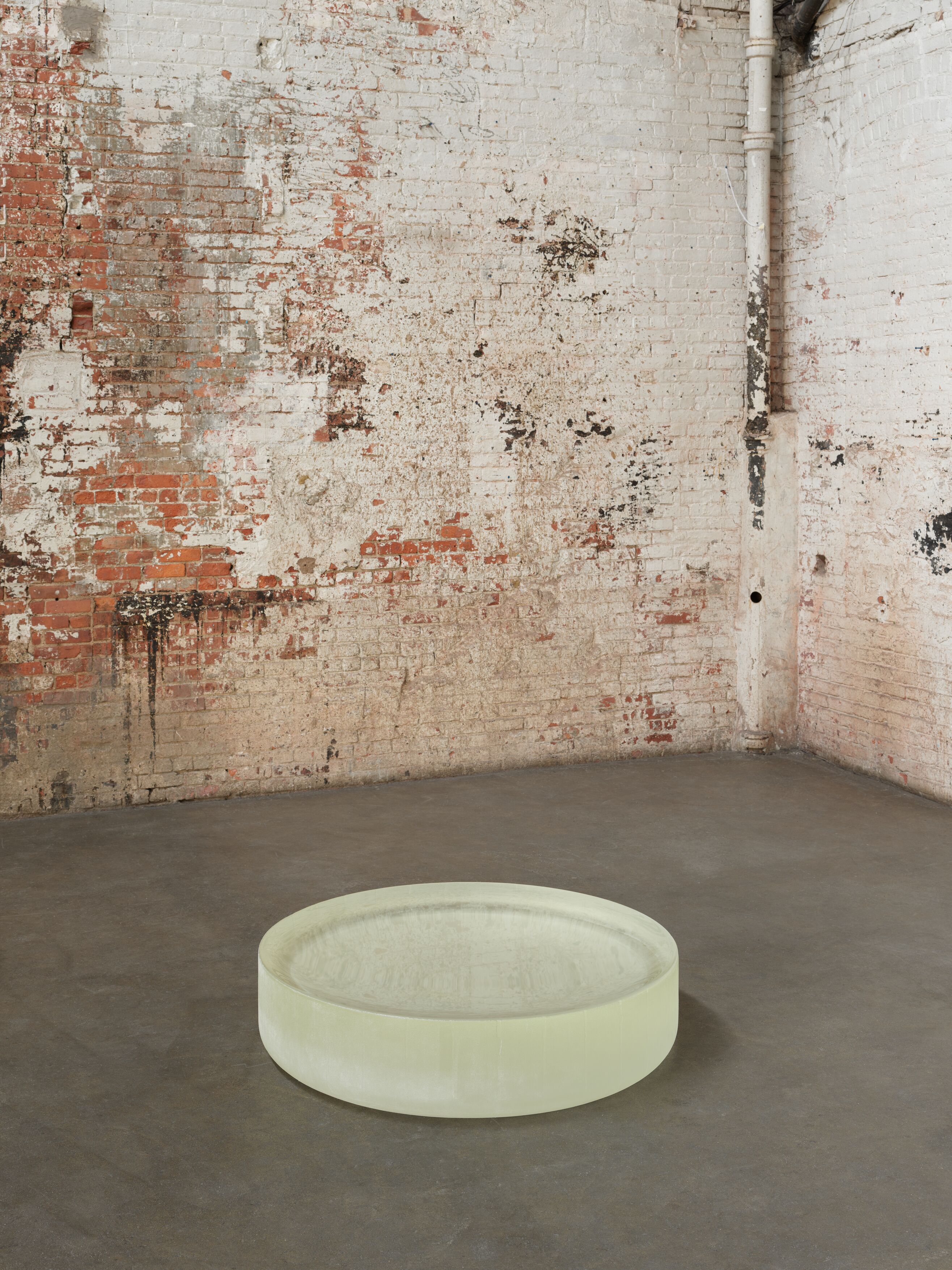 Image for exhibition titled Roni Horn