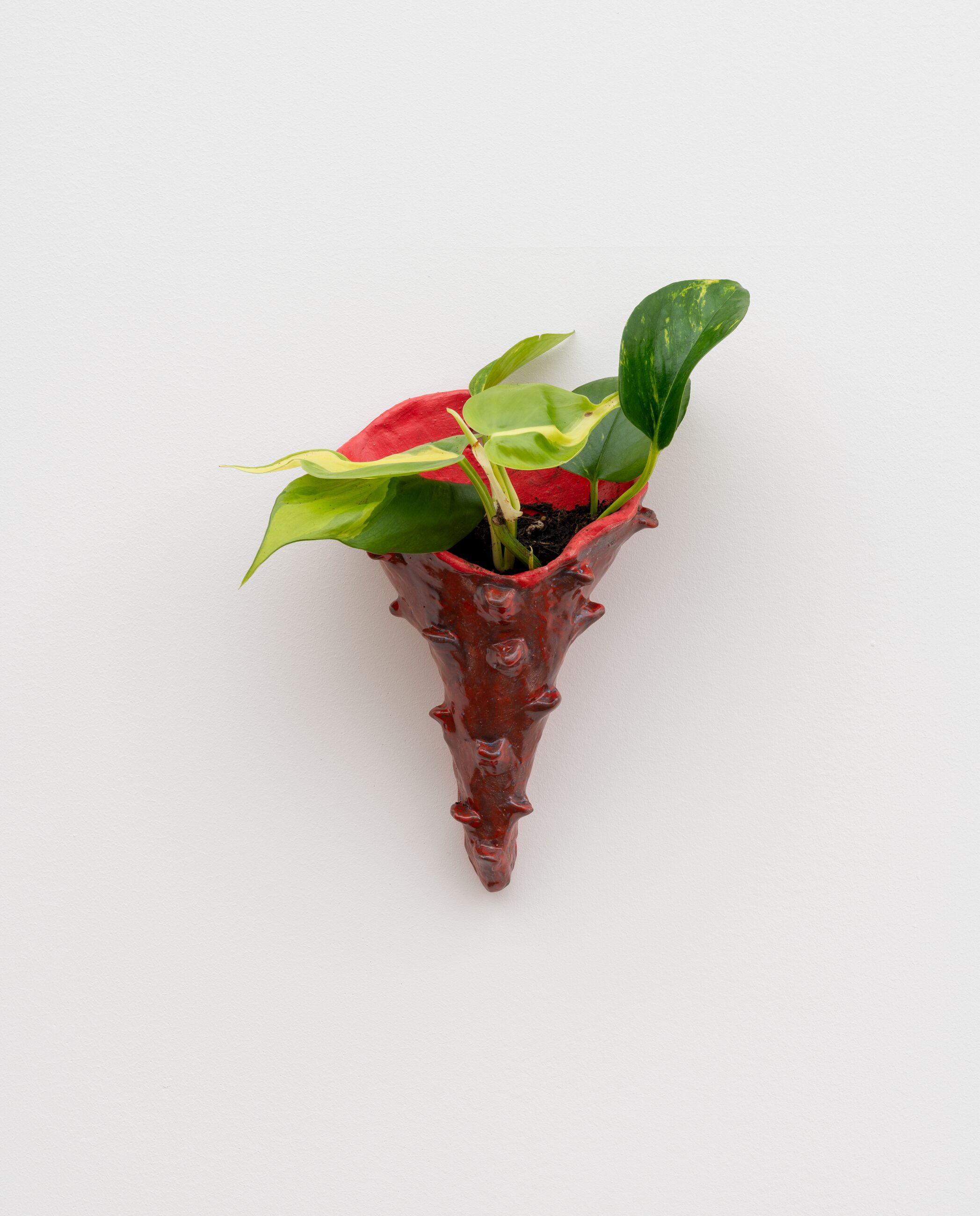 Image for exhibition titled To Hold and Be Held