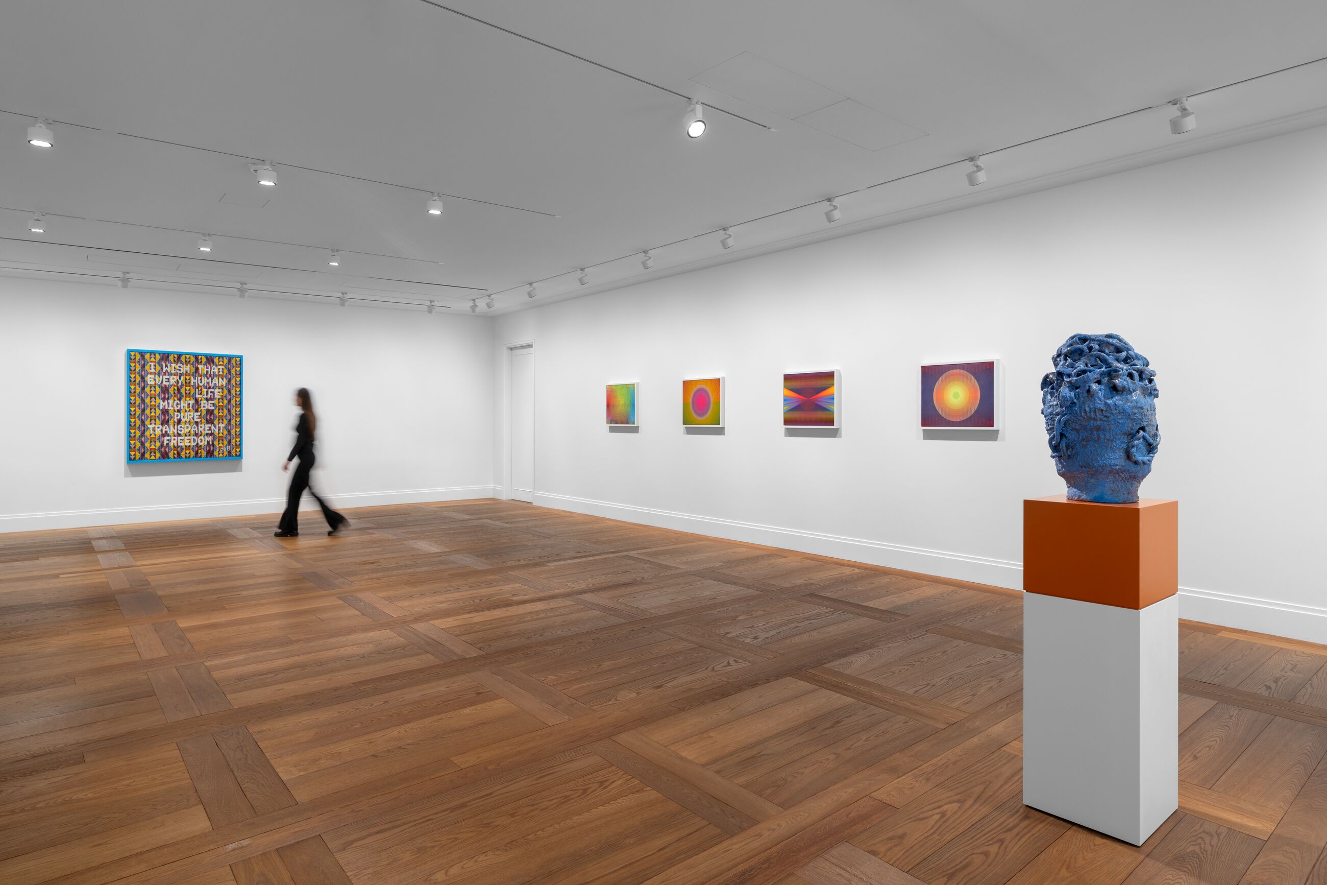 Installation view image for INSTALLATION VIEWS