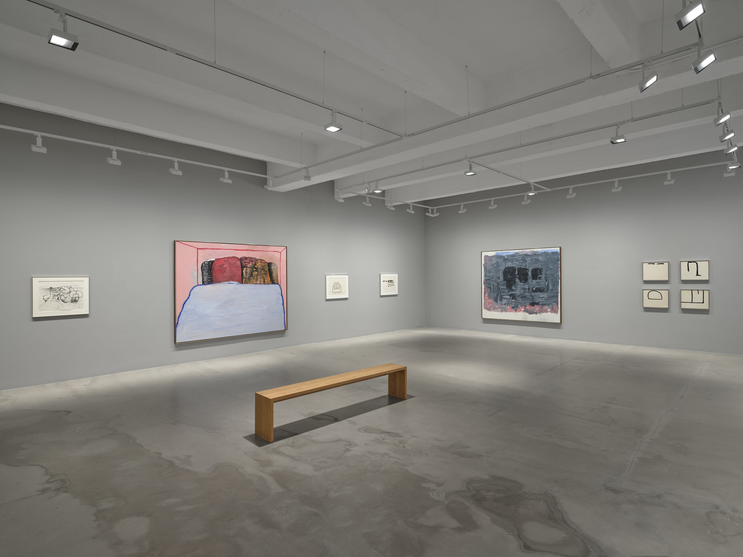 Installation view image for Installation Views