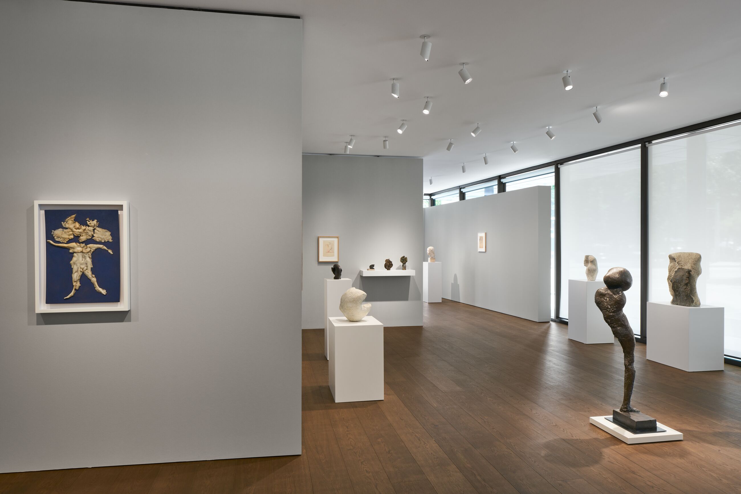 Installation view image for Installation Views