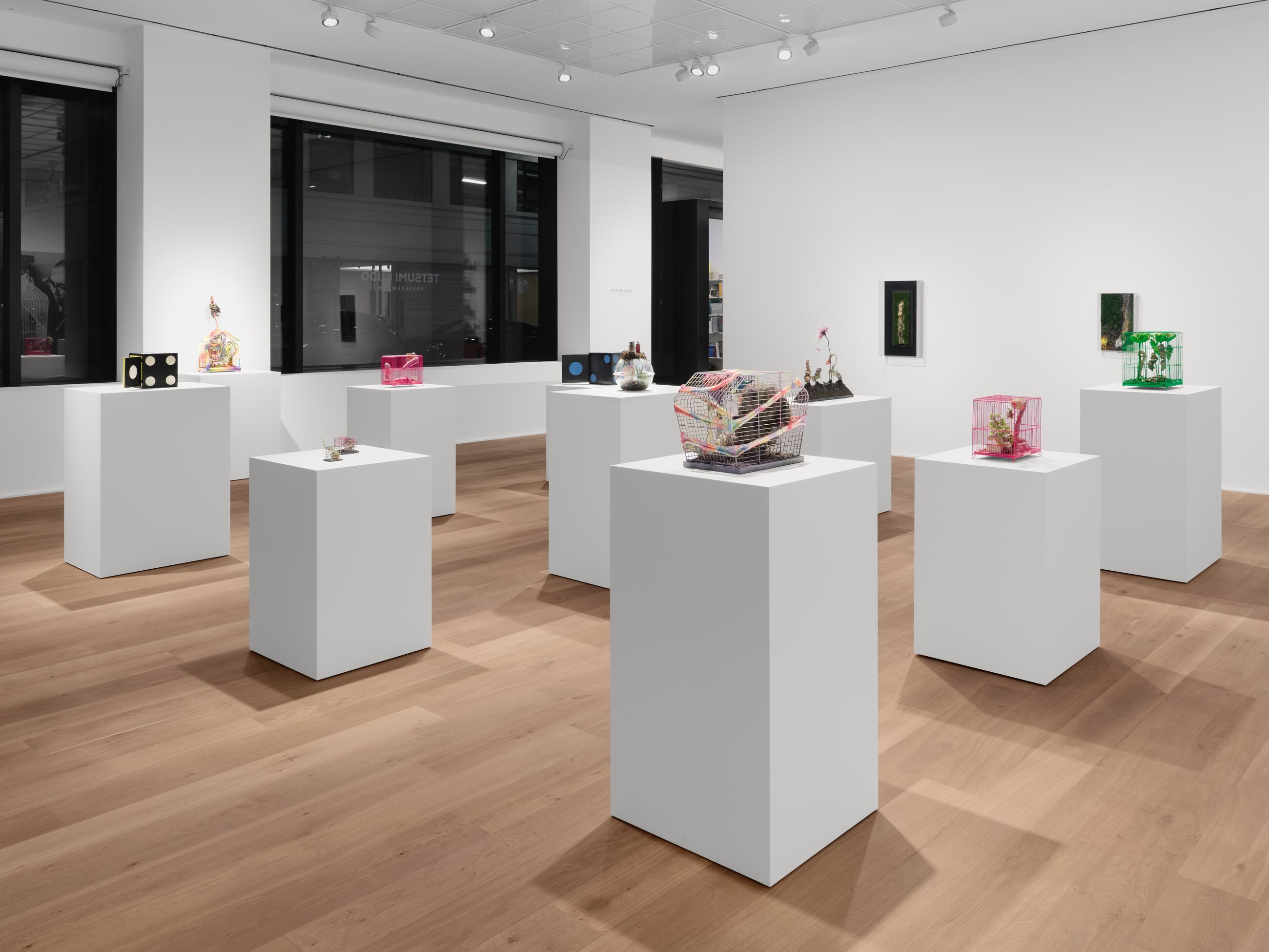 Installation view image for Installation Views