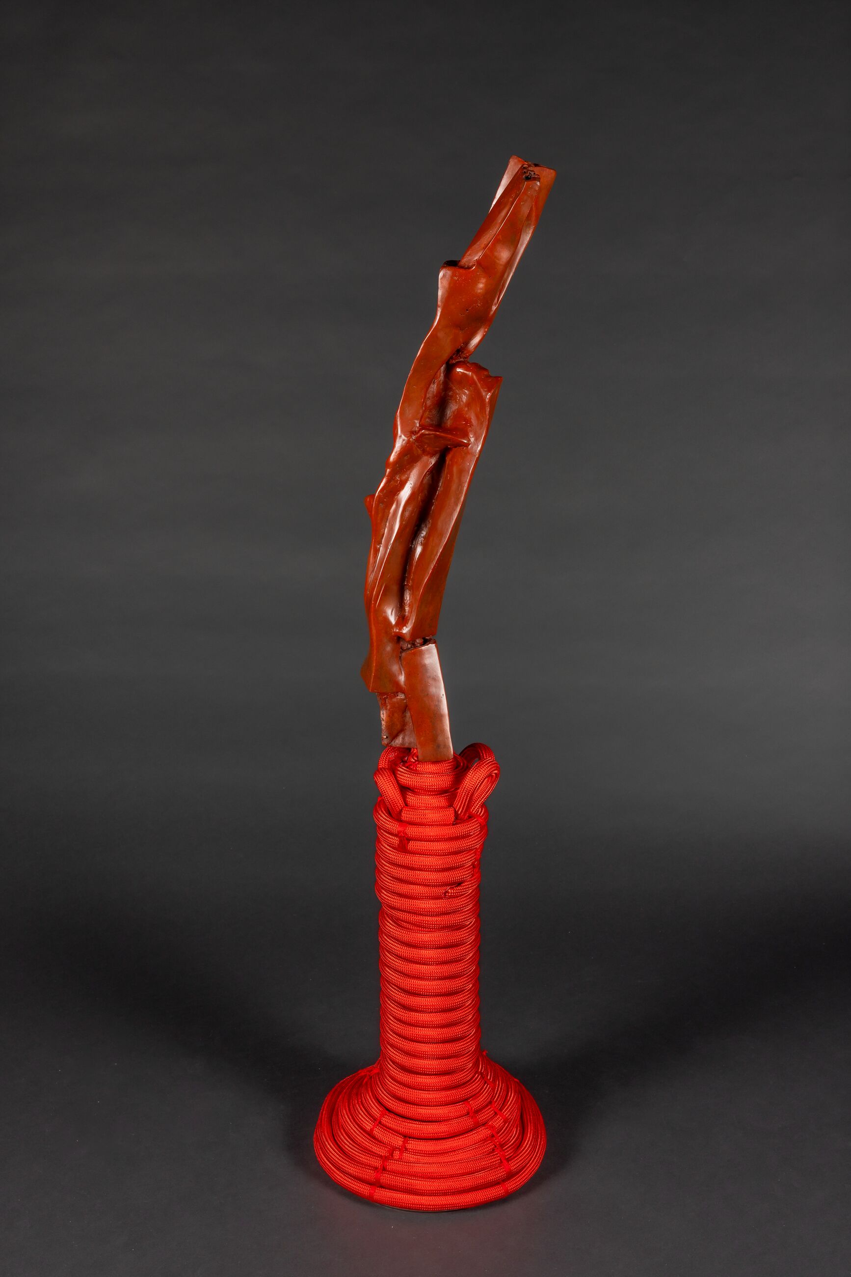 Image for exhibition titled Barbara Chase-Riboud