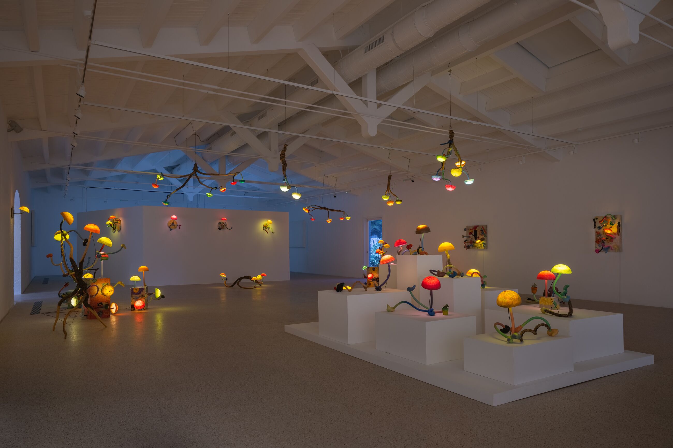 Thumbnail image for exhibition titled Mika Rottenberg