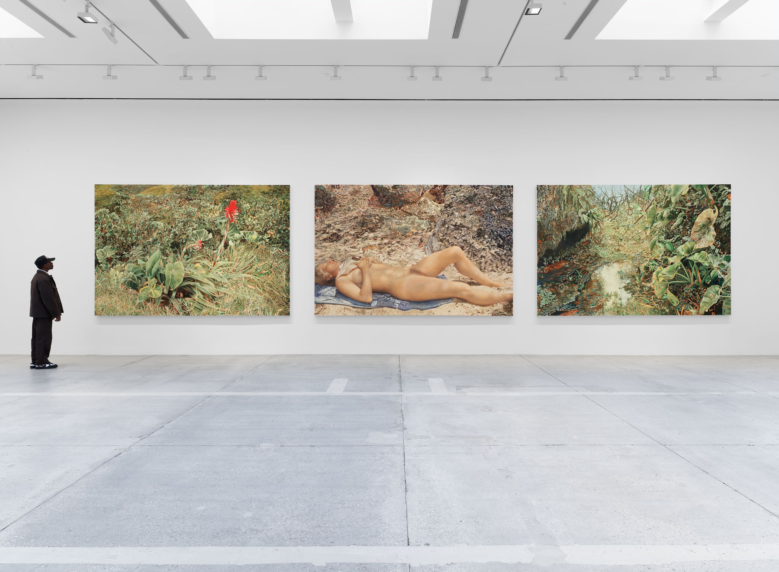 Installation view image for Installation Views