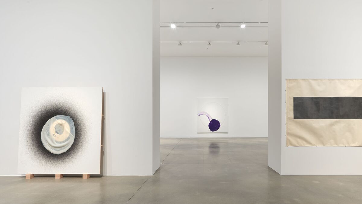 Installation view image for Installation Views