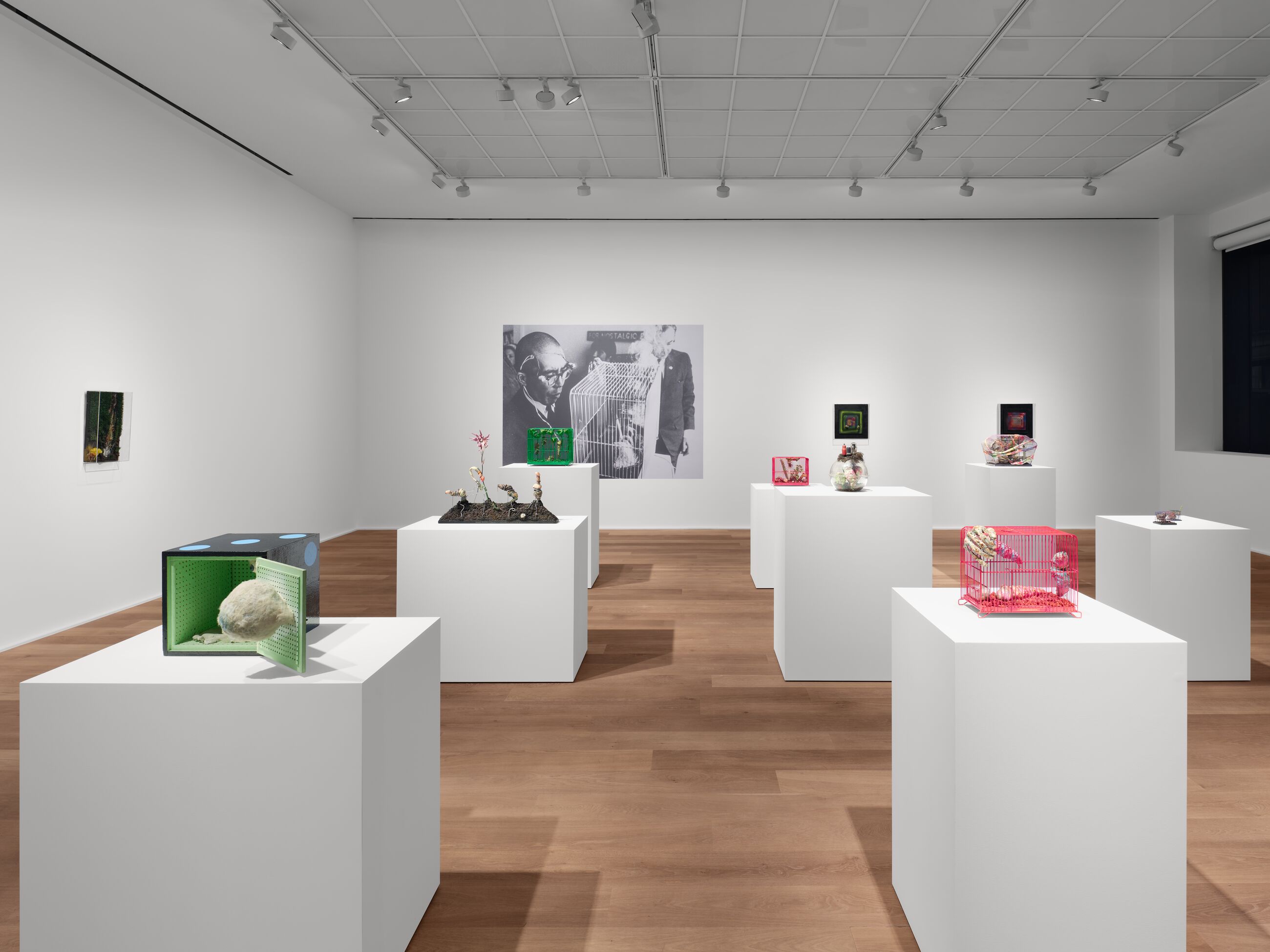 Installation view image for Installation Views