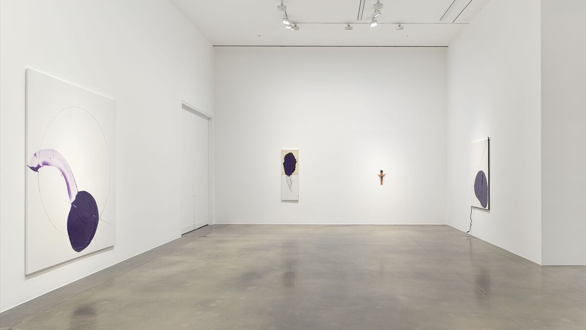 Installation view image for Installation Views