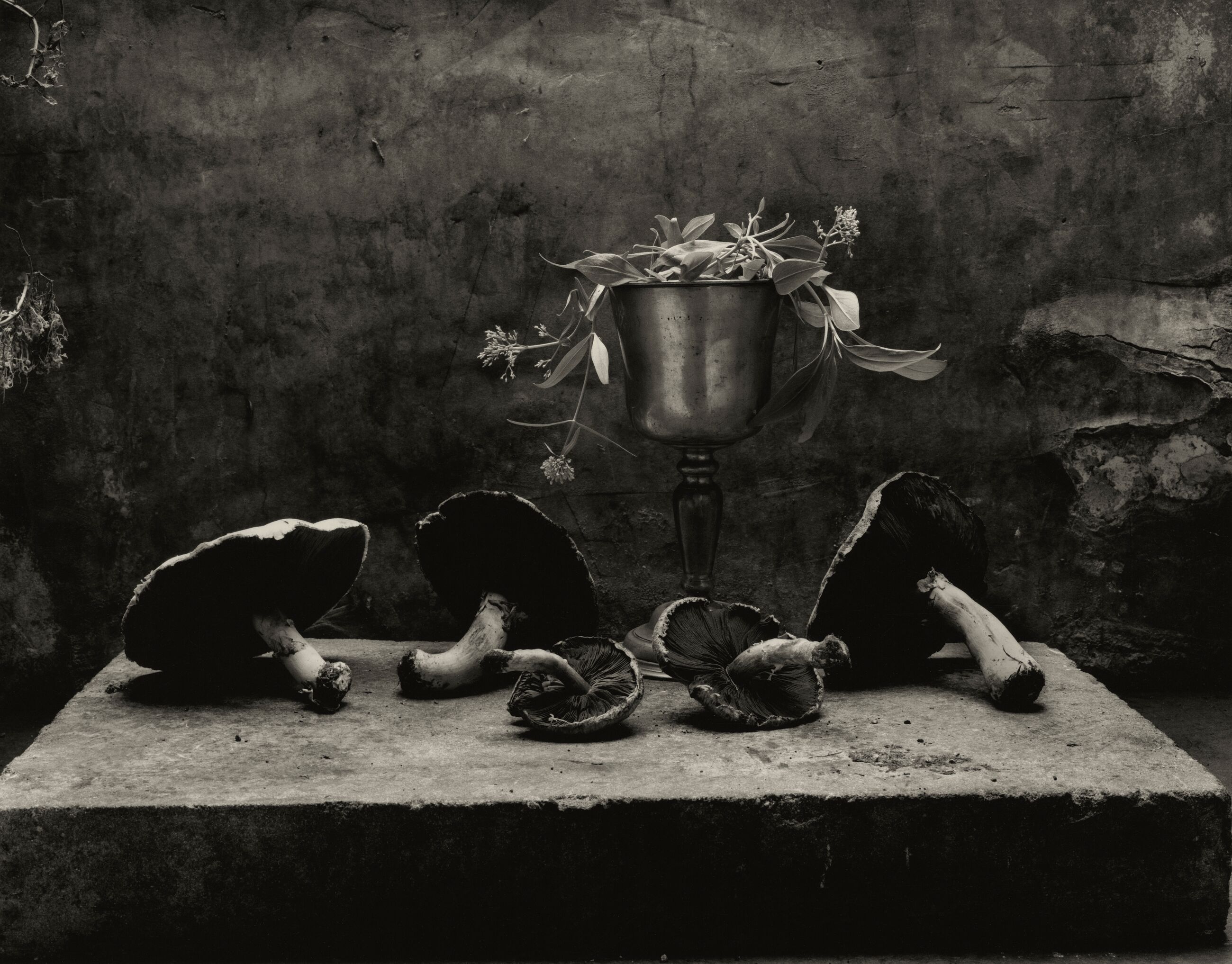 Image for exhibition titled Don McCullin