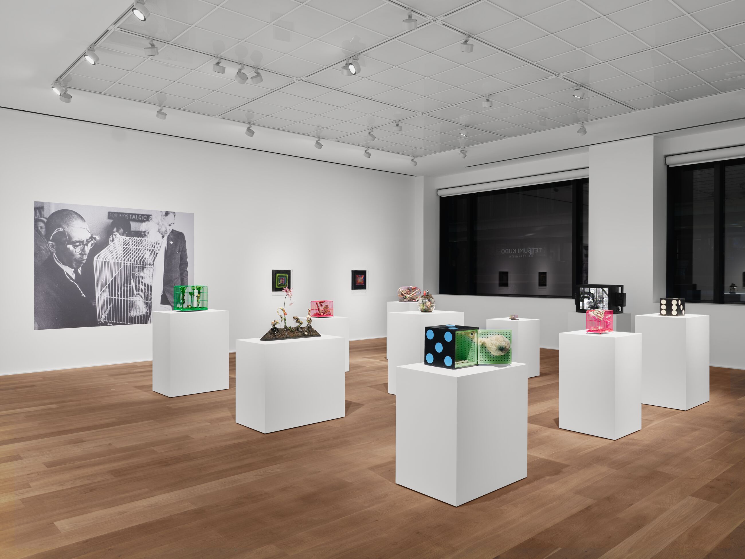 Installation view image for Installation Views