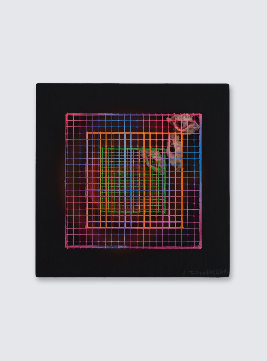 Image for exhibition titled Tetsumi Kudo