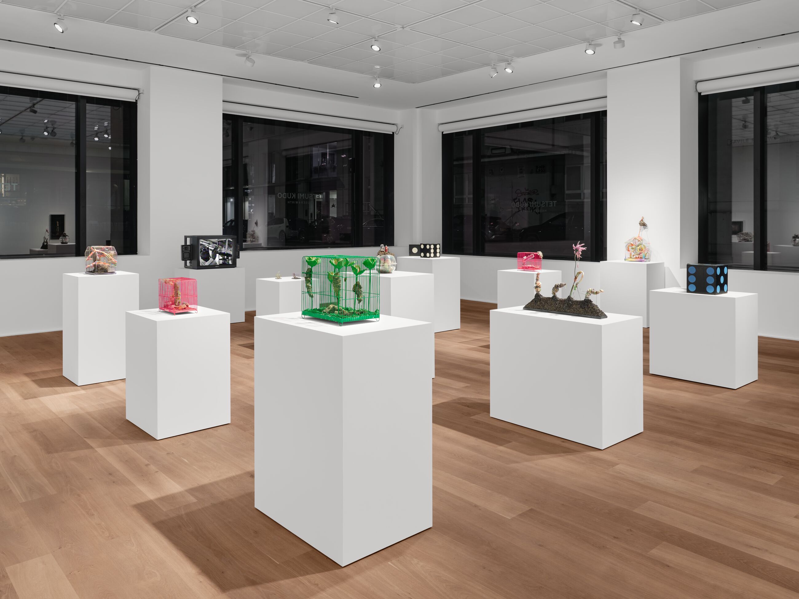 Installation view image for Installation Views