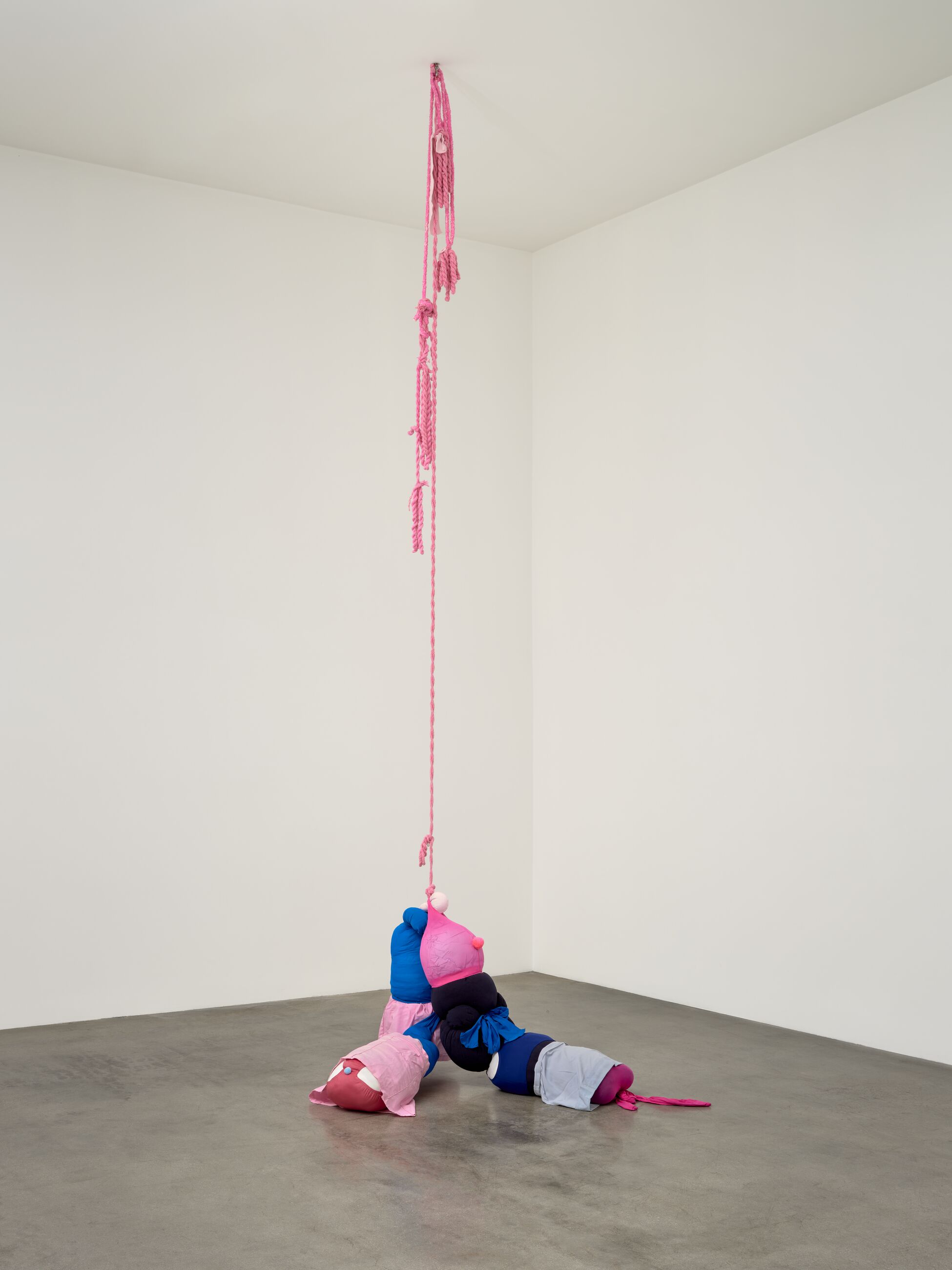 Image for exhibition titled Mike Kelley