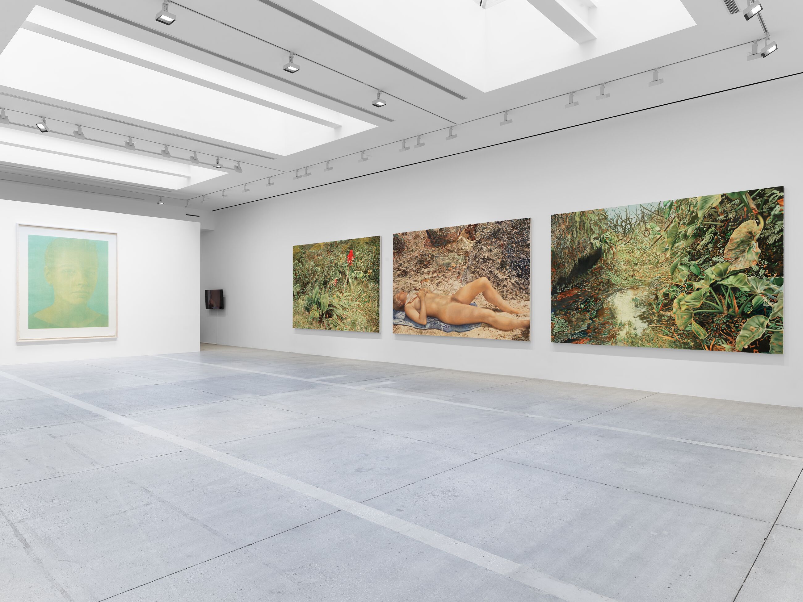 Installation view image for Installation Views