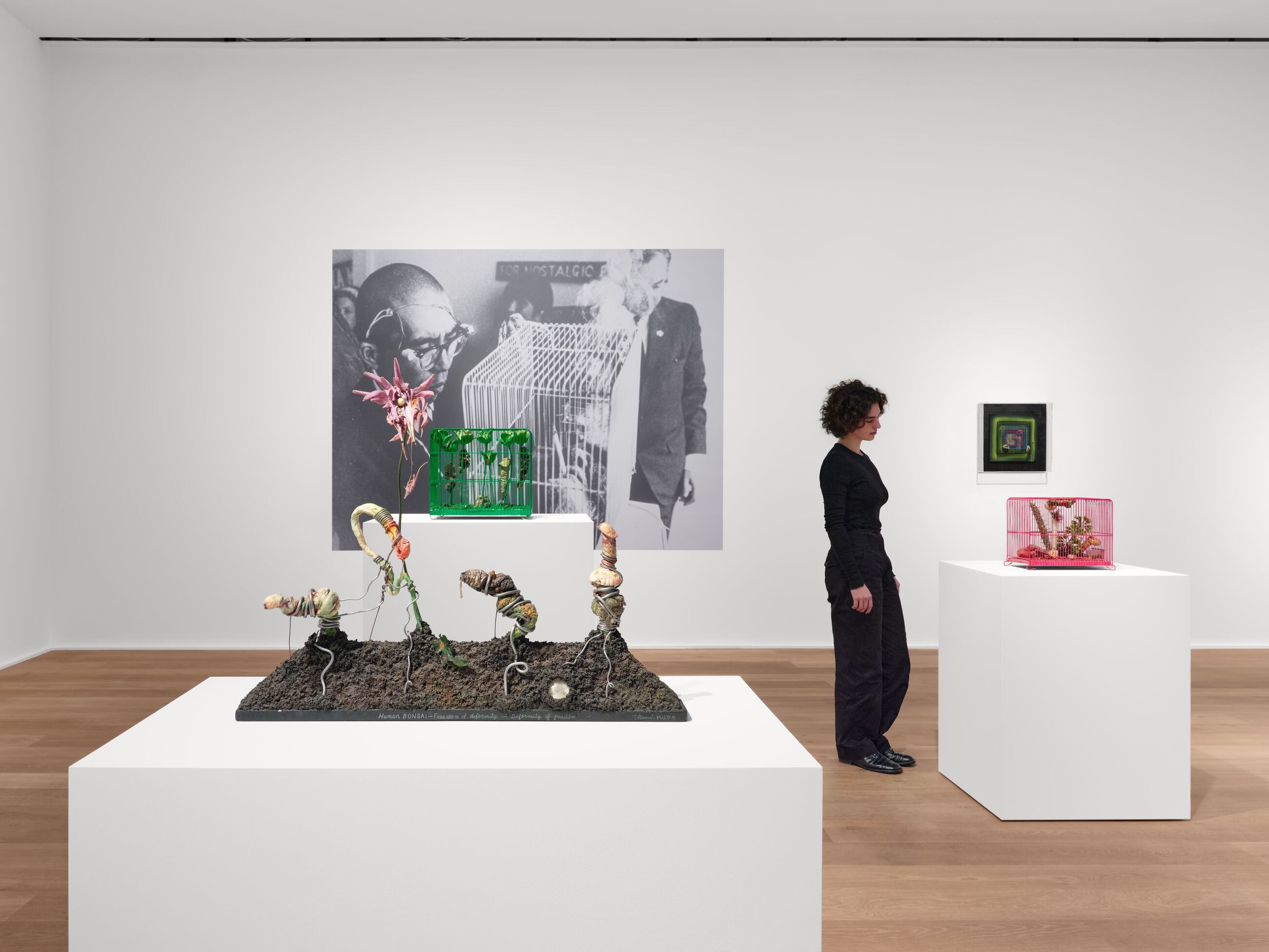 Installation view image for Installation Views