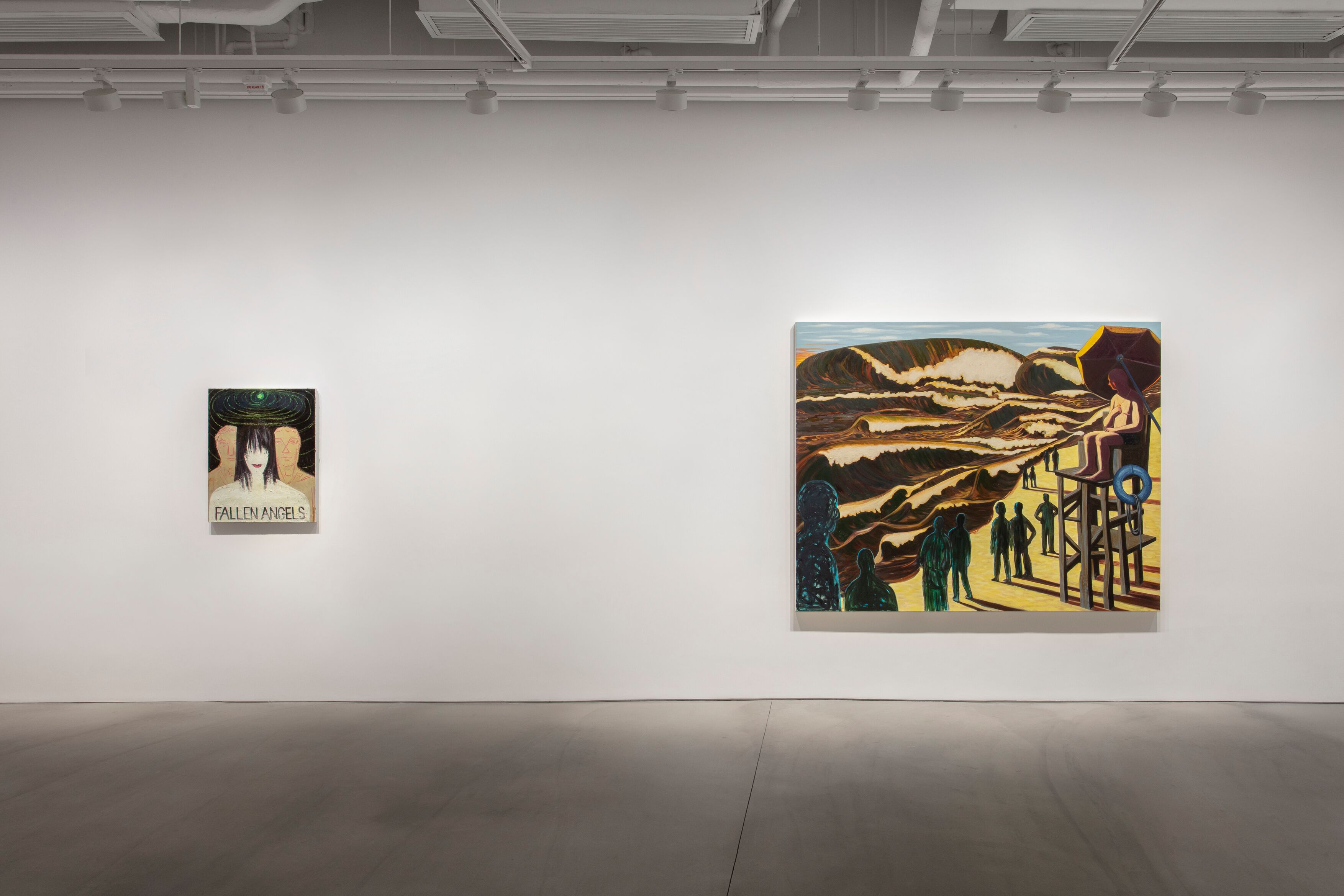 Installation view image for Installation Views