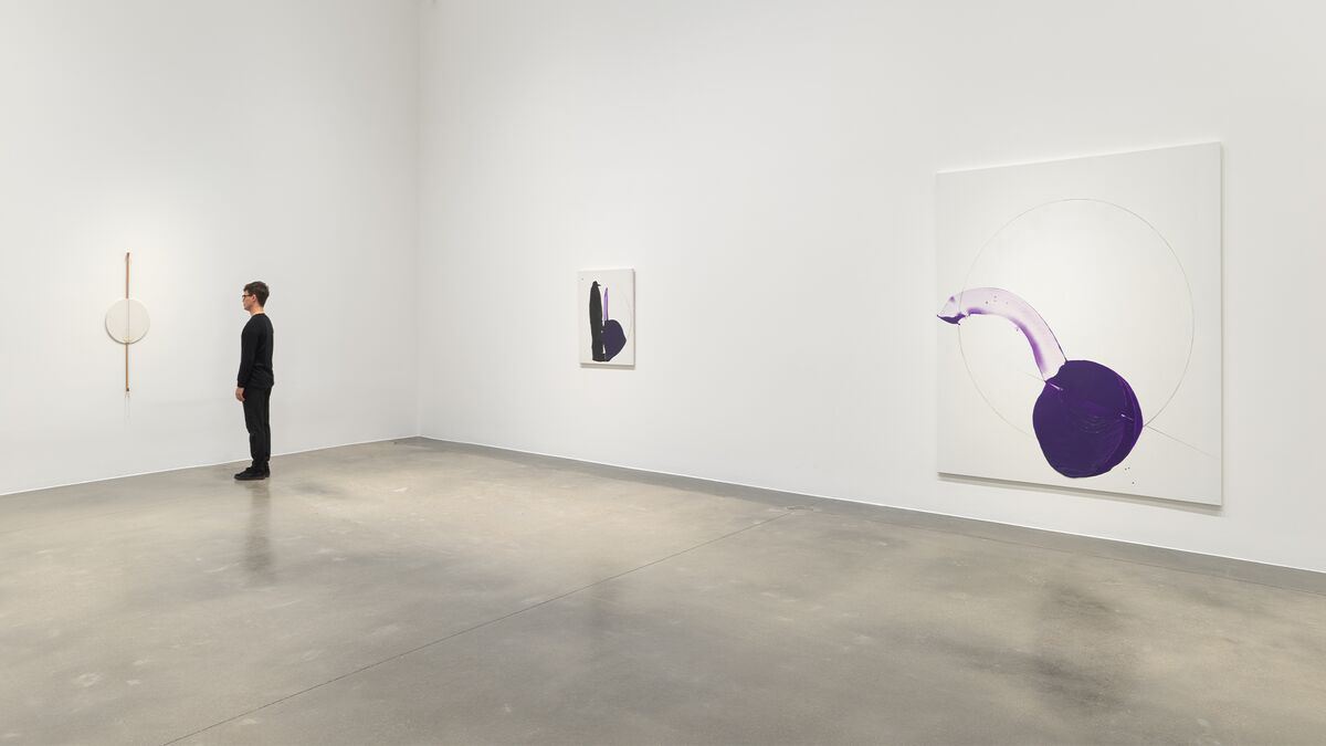 Installation view image for Installation Views