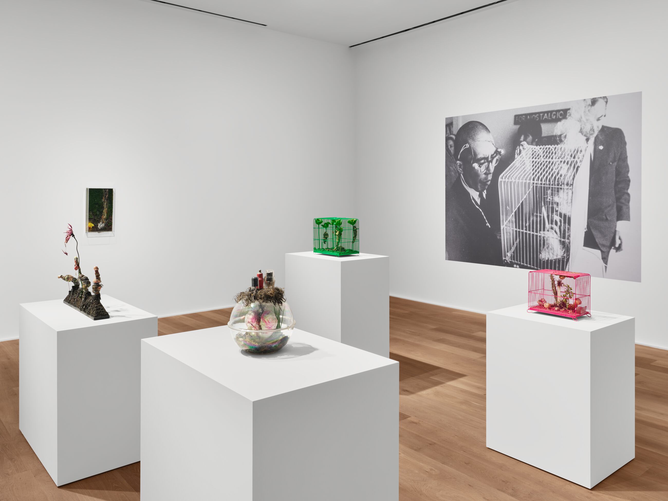 Installation view image for Installation Views