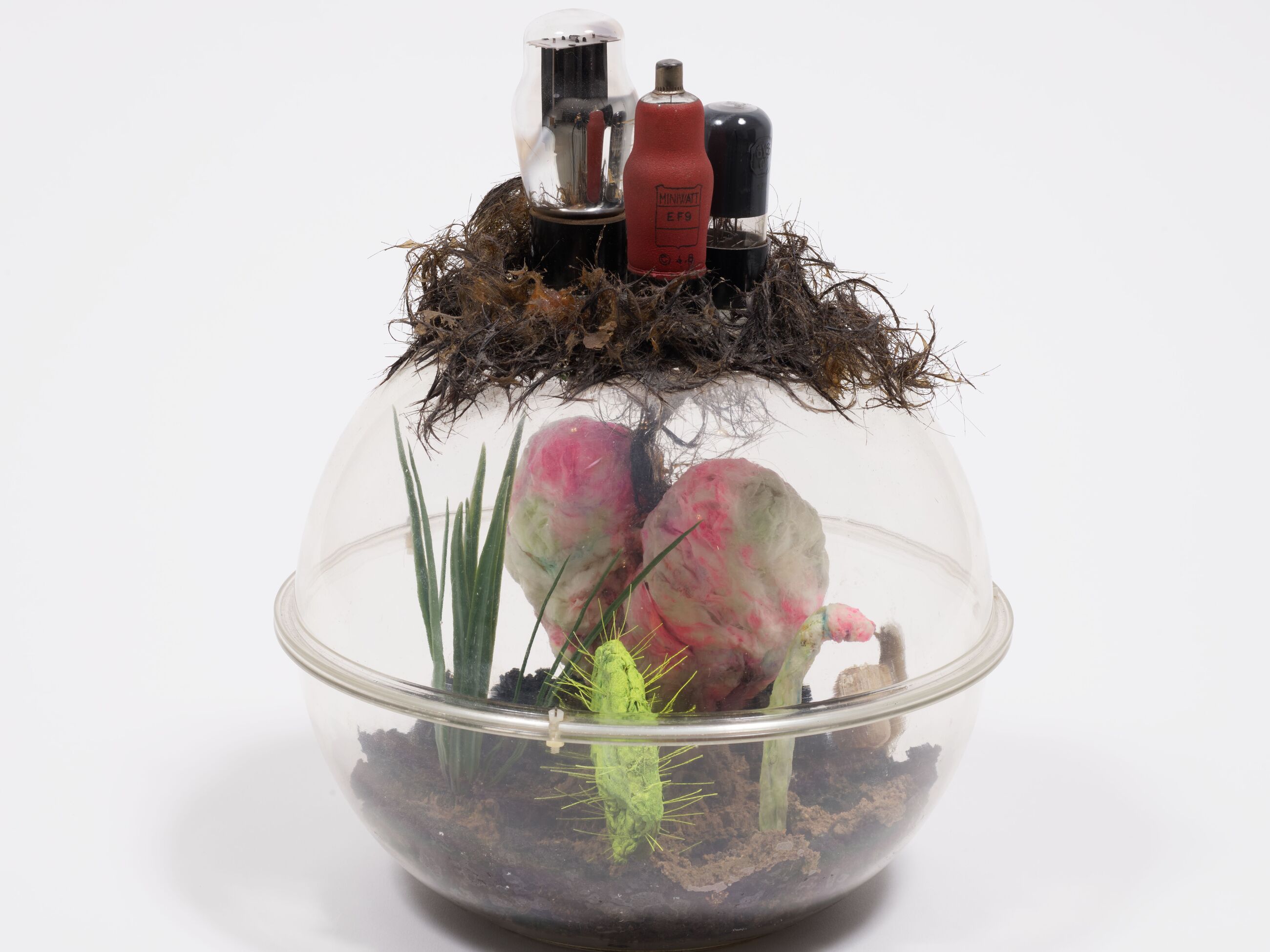 Image for ursula titled Irradiated Gardens