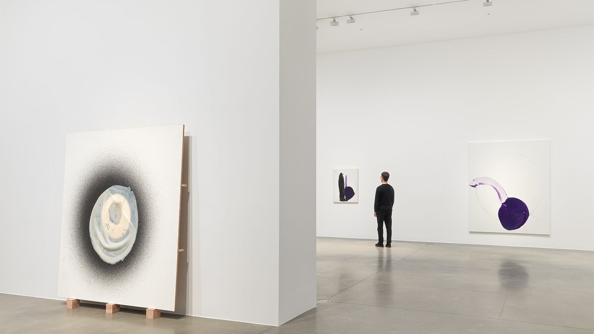 Installation view image for Installation Views