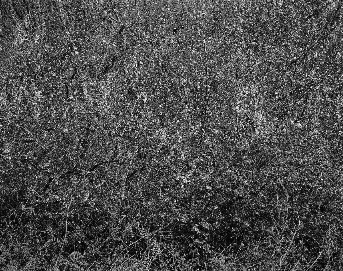 Hero image for exhibition titled a moment for eternity 