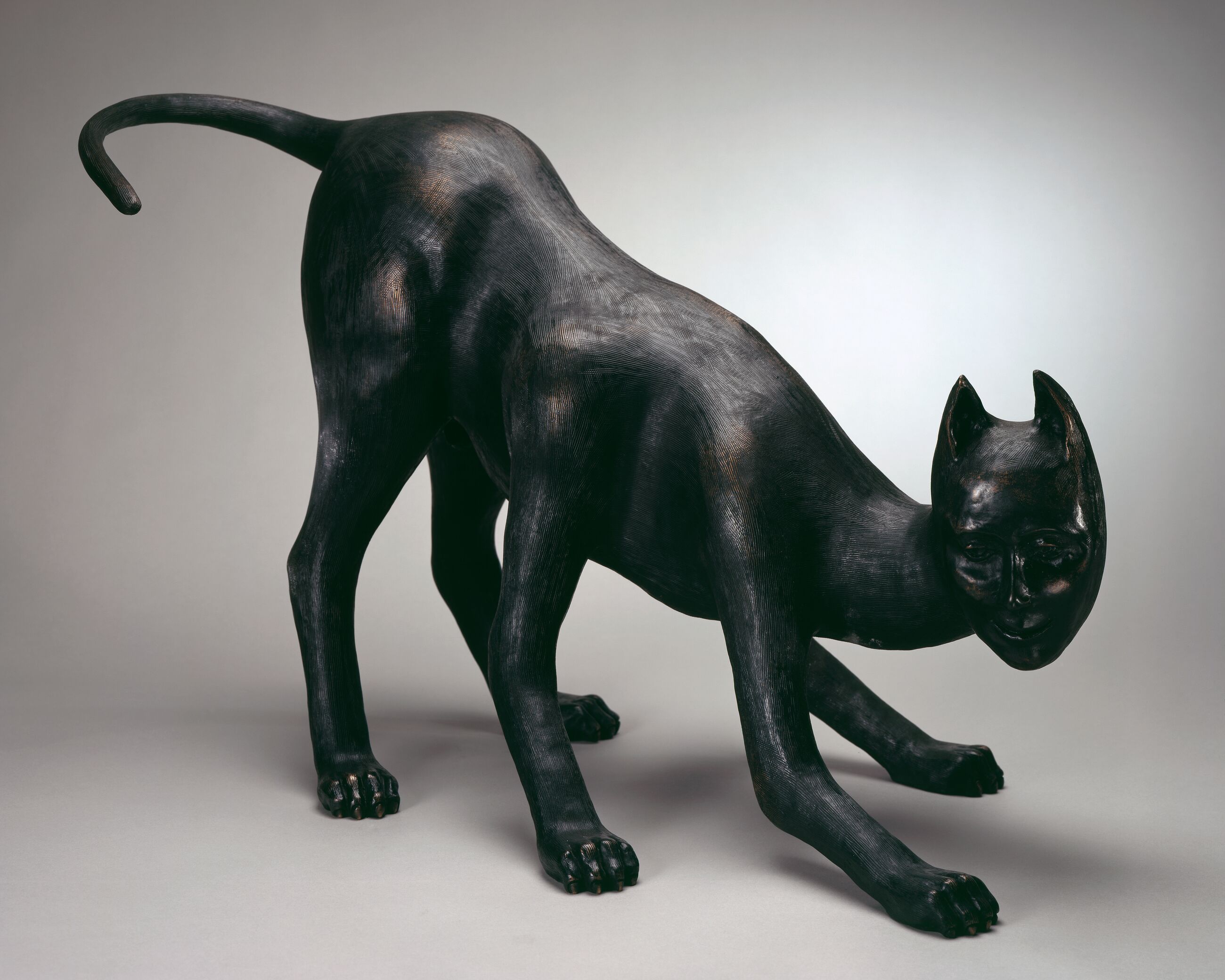 Image for exhibition 