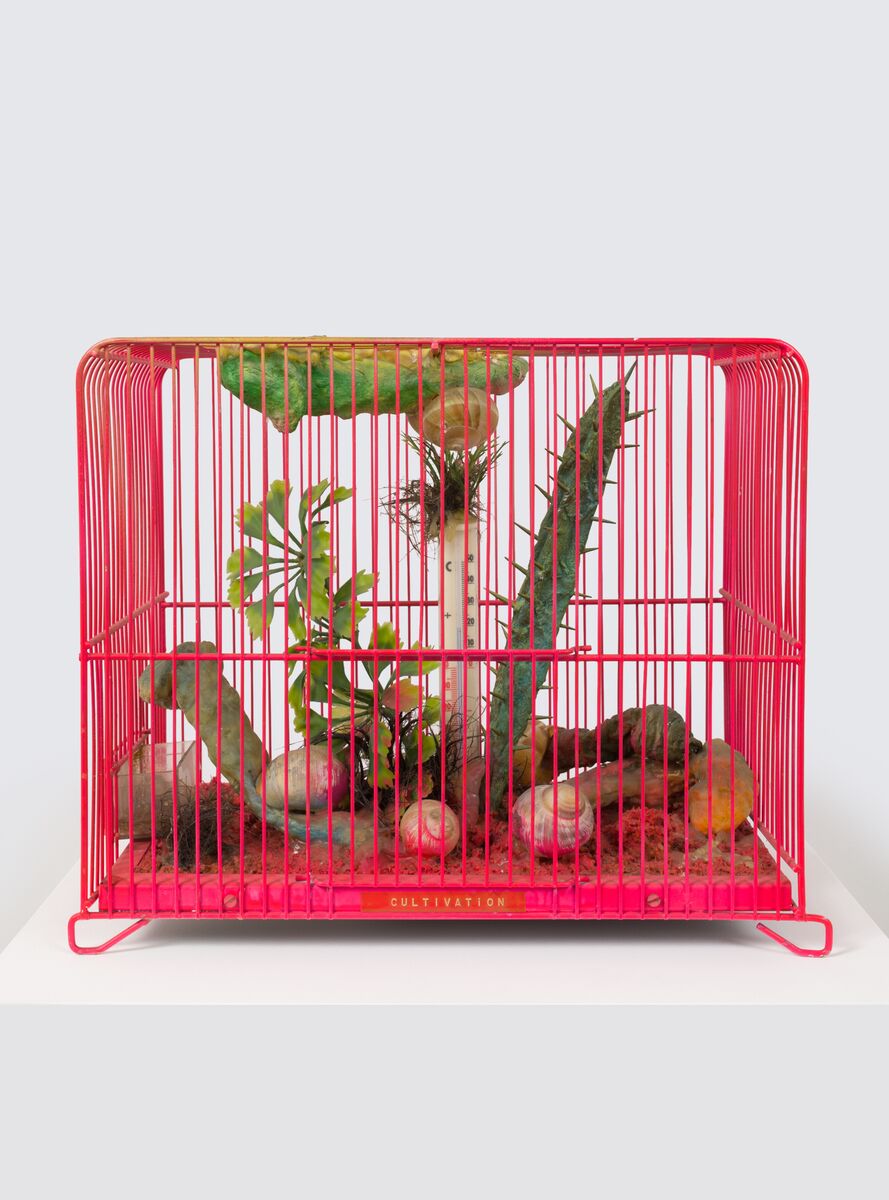 Image for exhibition titled Tetsumi Kudo