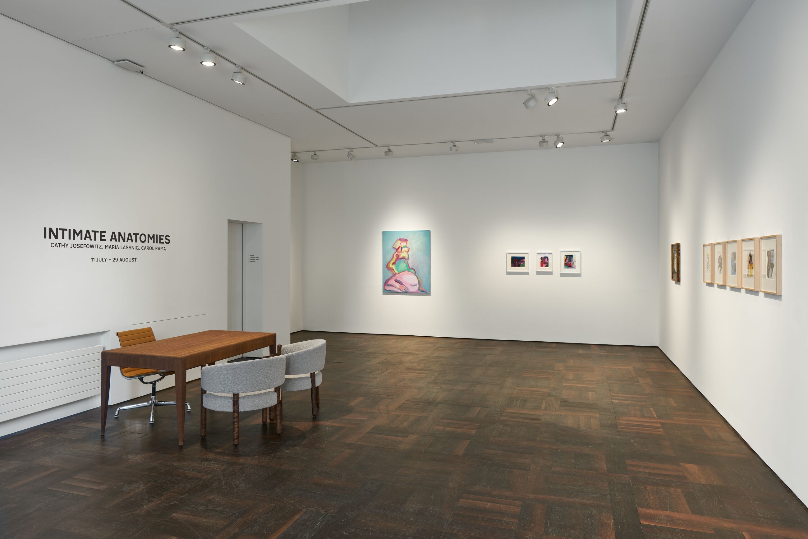 Installation view image for Installation Views