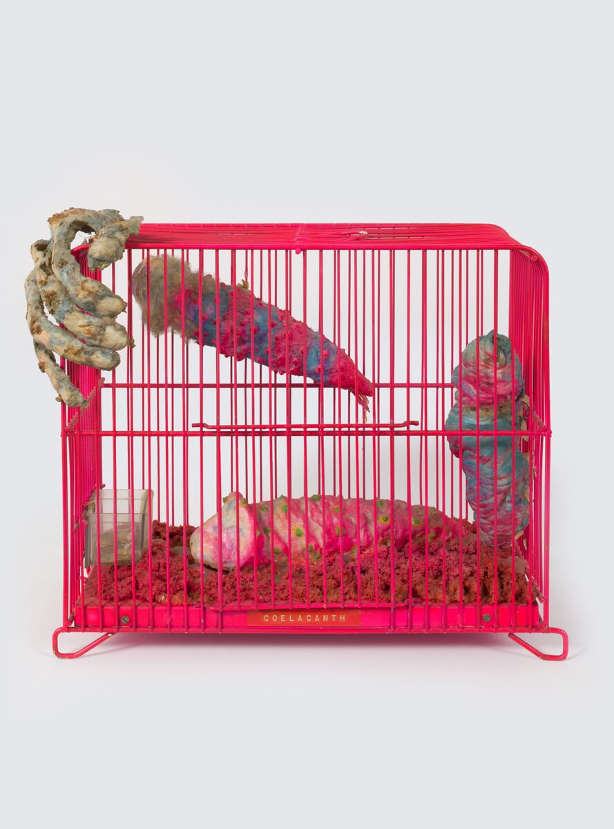 Image for left hero section