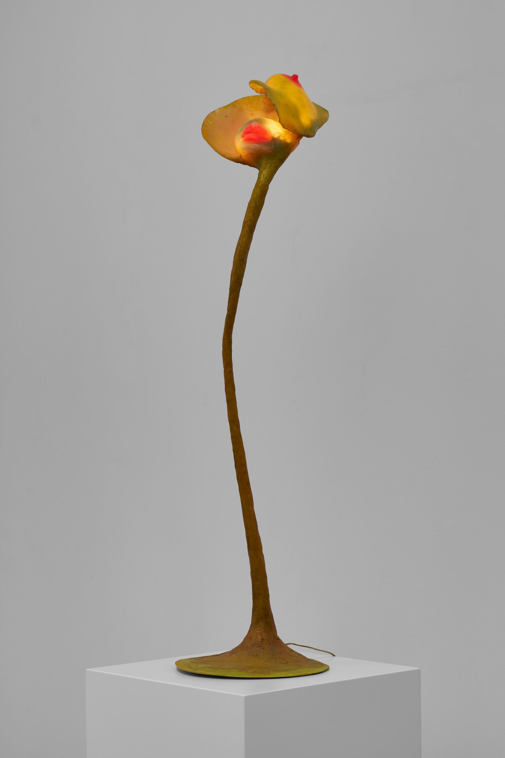 Image for exhibition titled Alina Szapocznikow