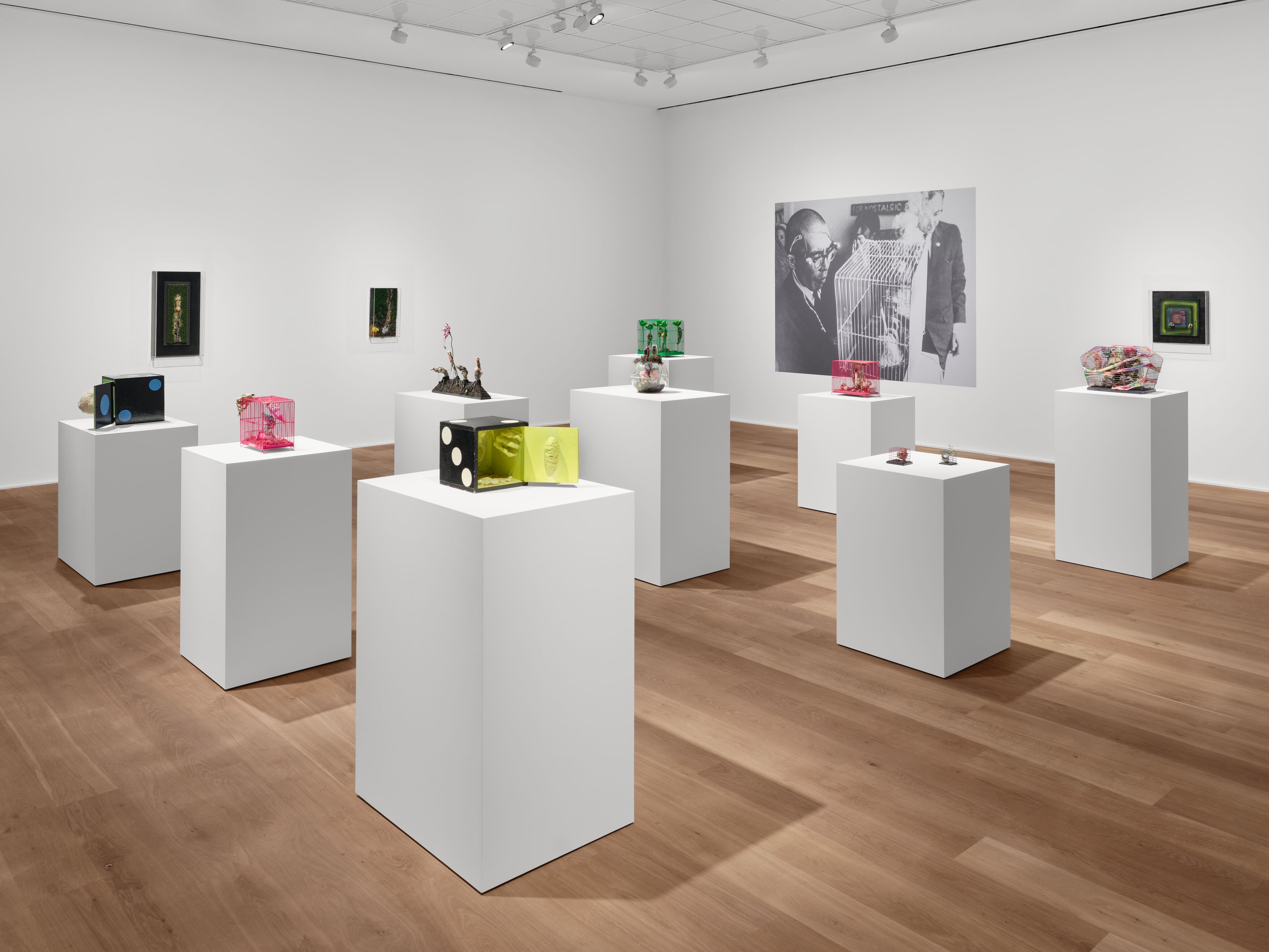 Image for exhibition titled Tetsumi Kudo