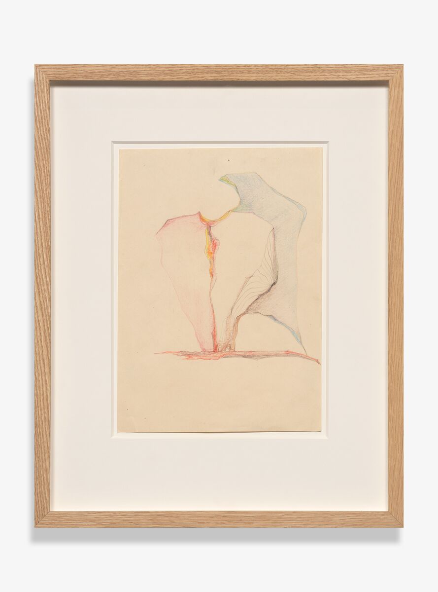 Image for exhibition titled Alina Szapocznikow