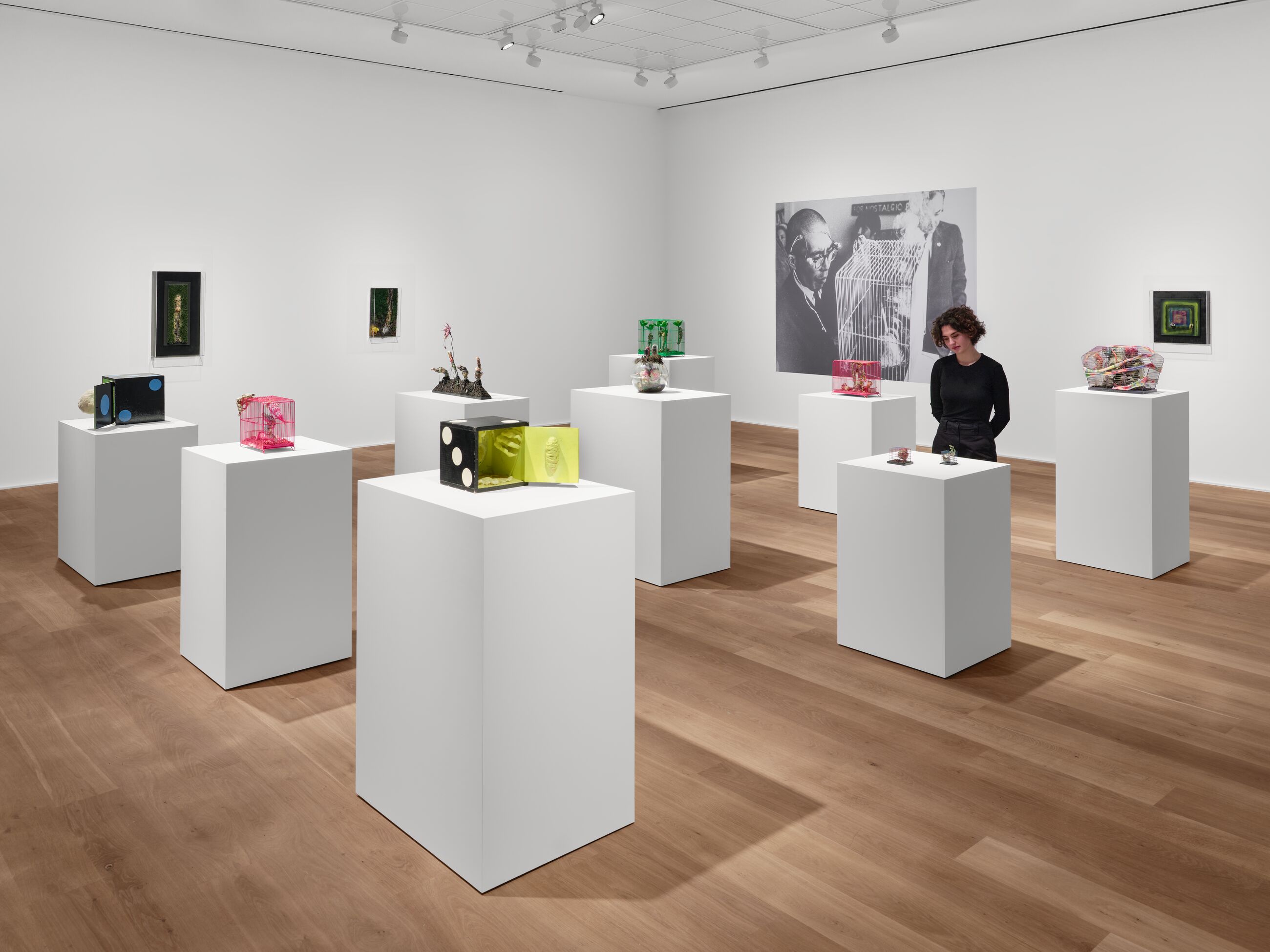 Installation view image for Installation Views