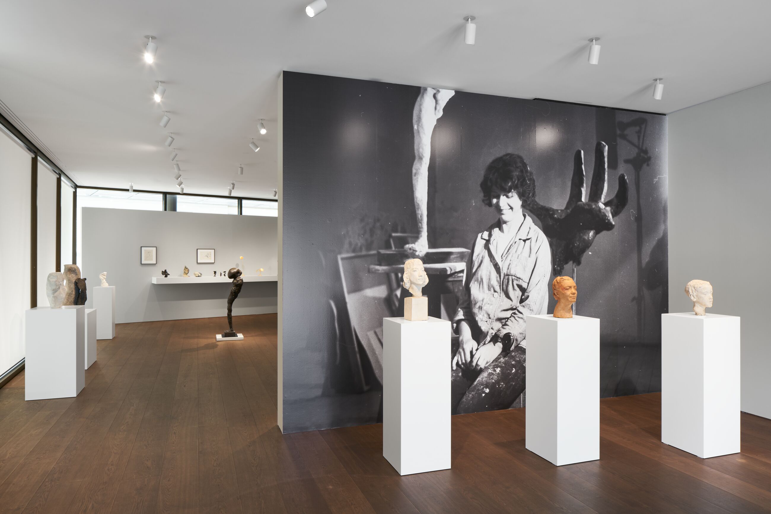 Installation view image for Installation Views