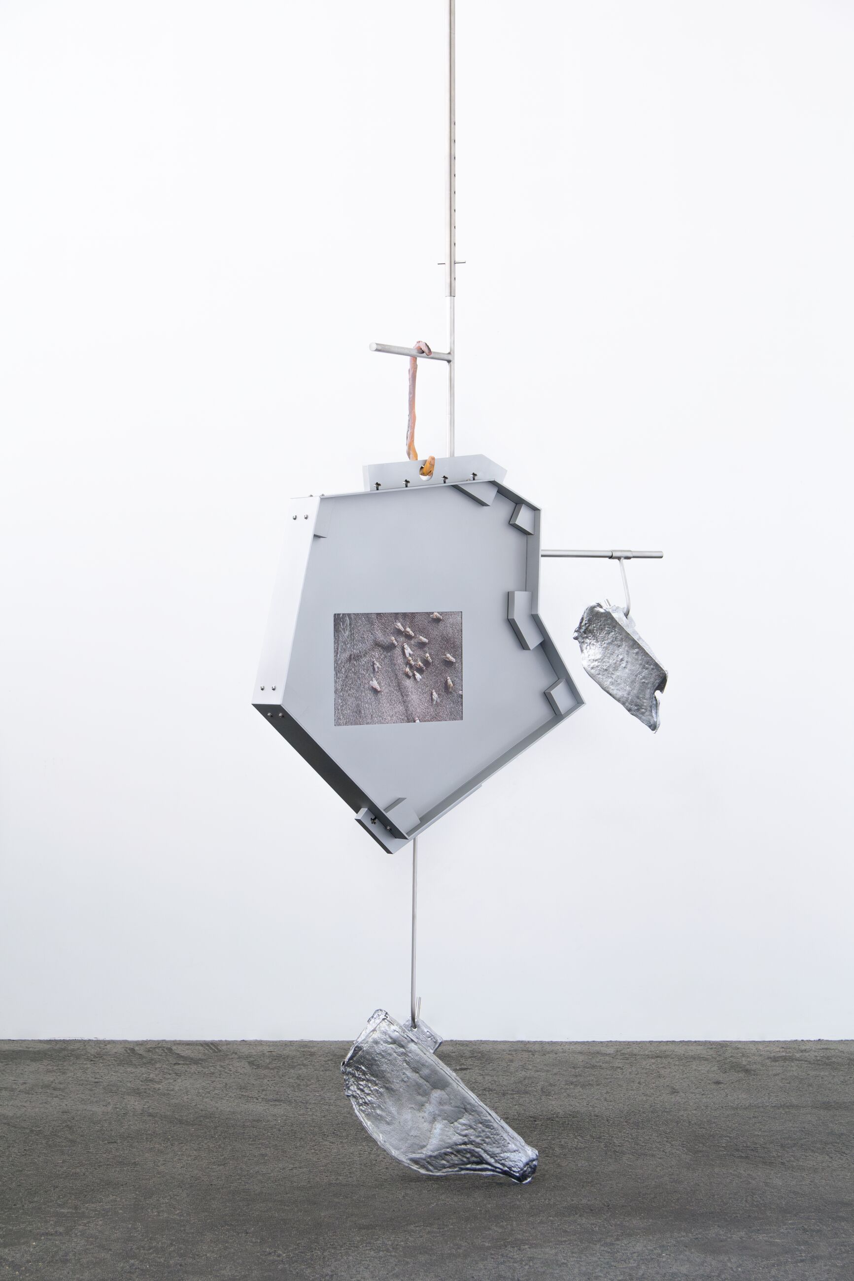 Image for exhibition titled Nairy Baghramian