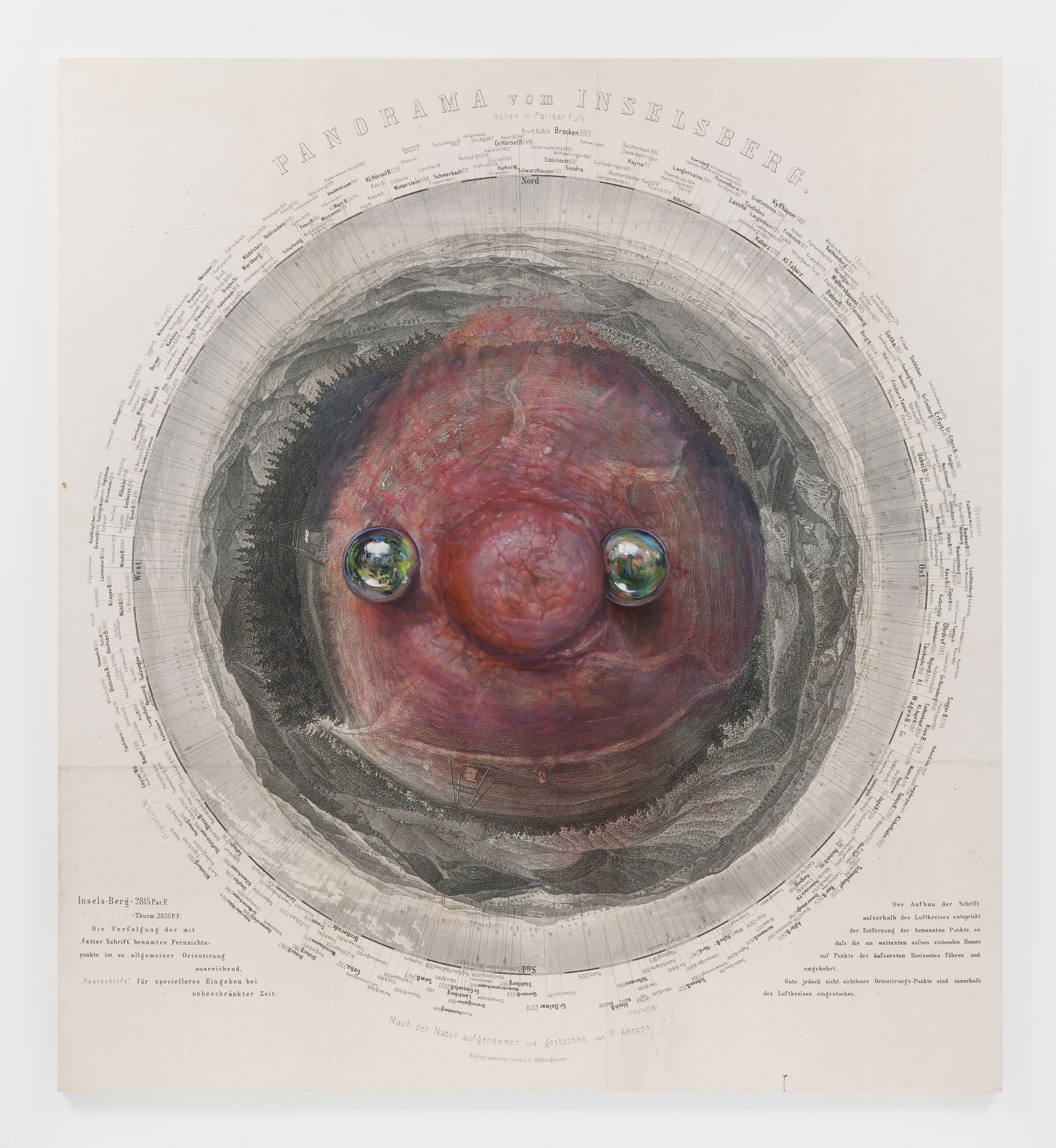 Image for exhibition 