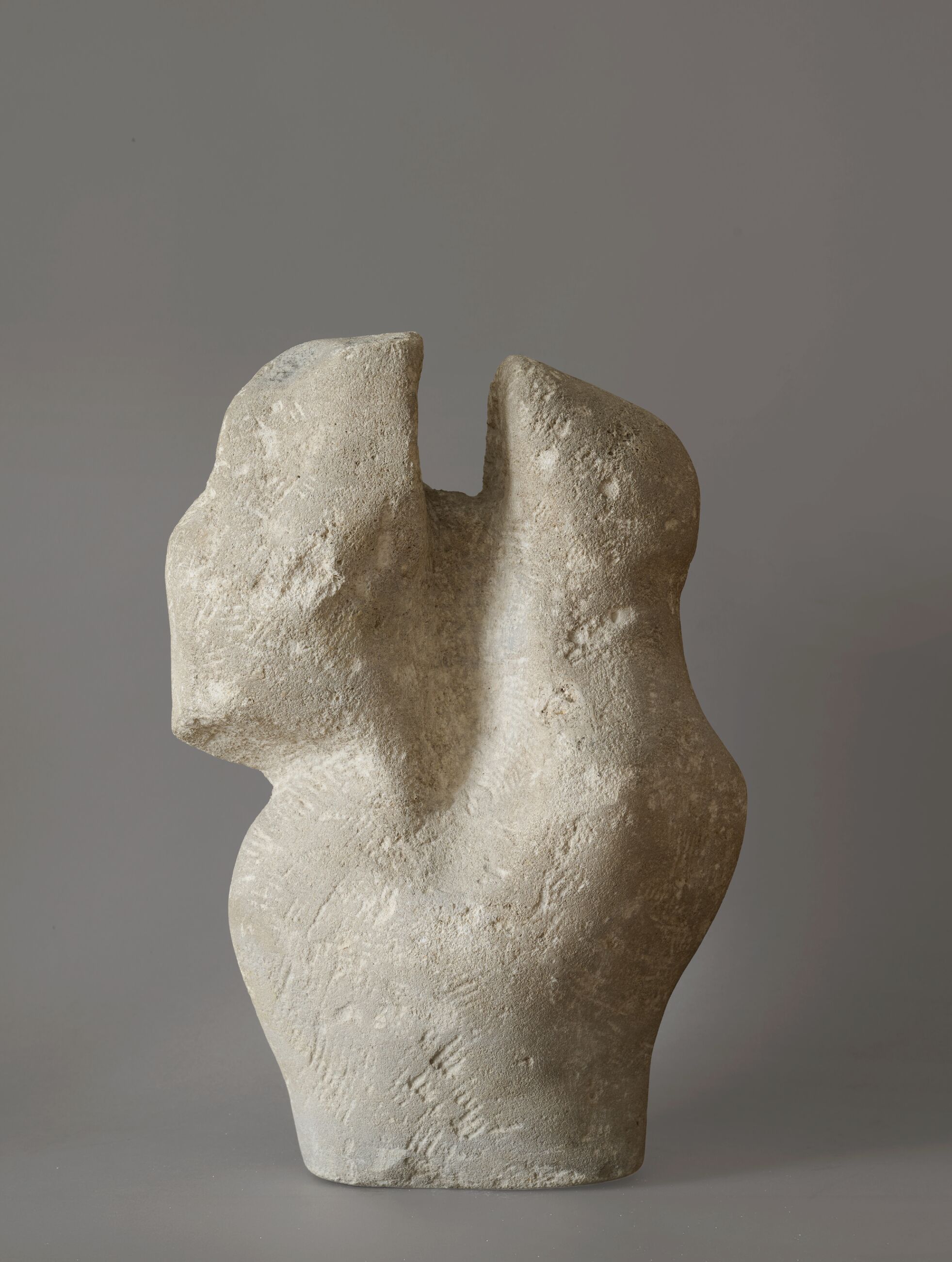 Image for exhibition titled Alina Szapocznikow