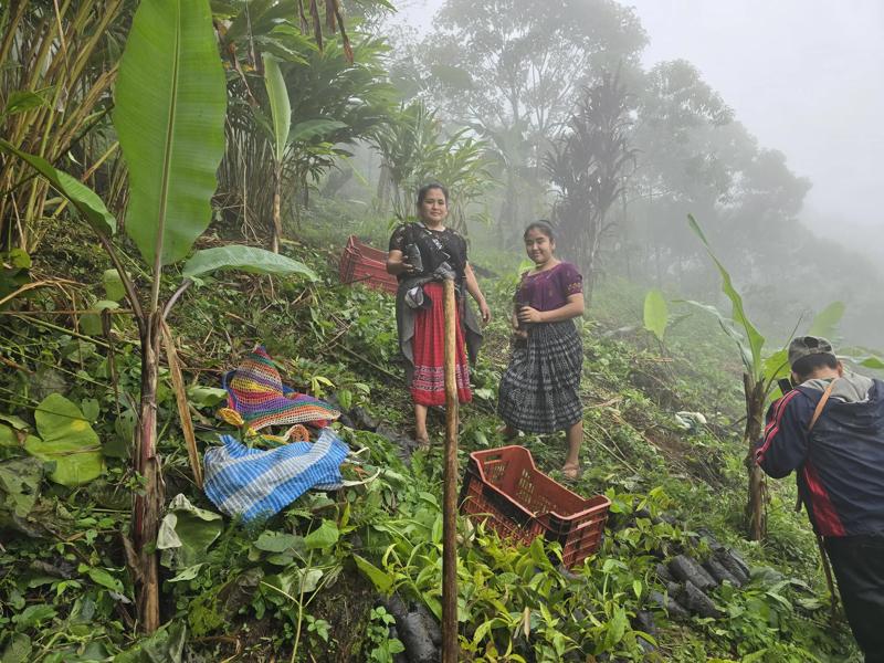 Image for Art of Nature