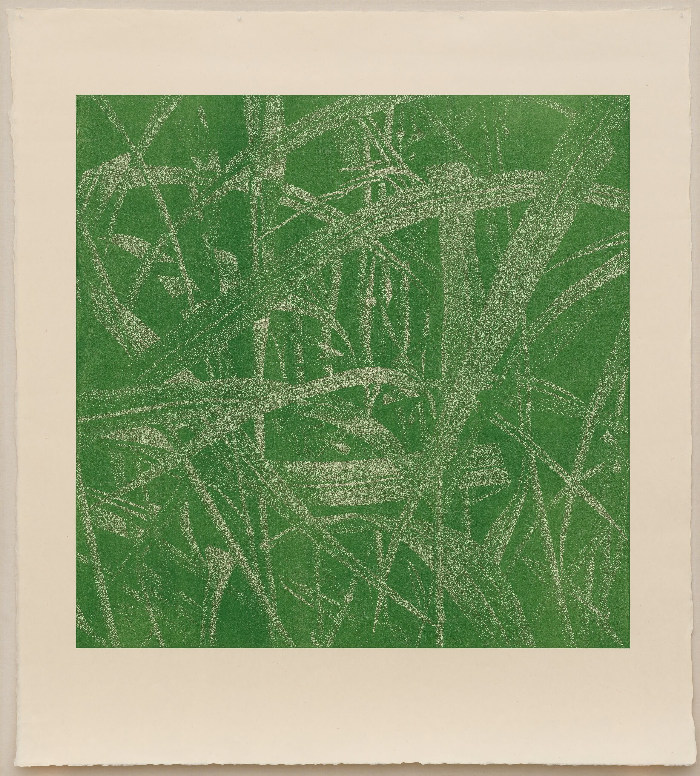 Image for exhibition 