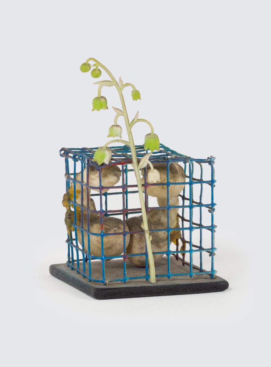 Image for right hero section