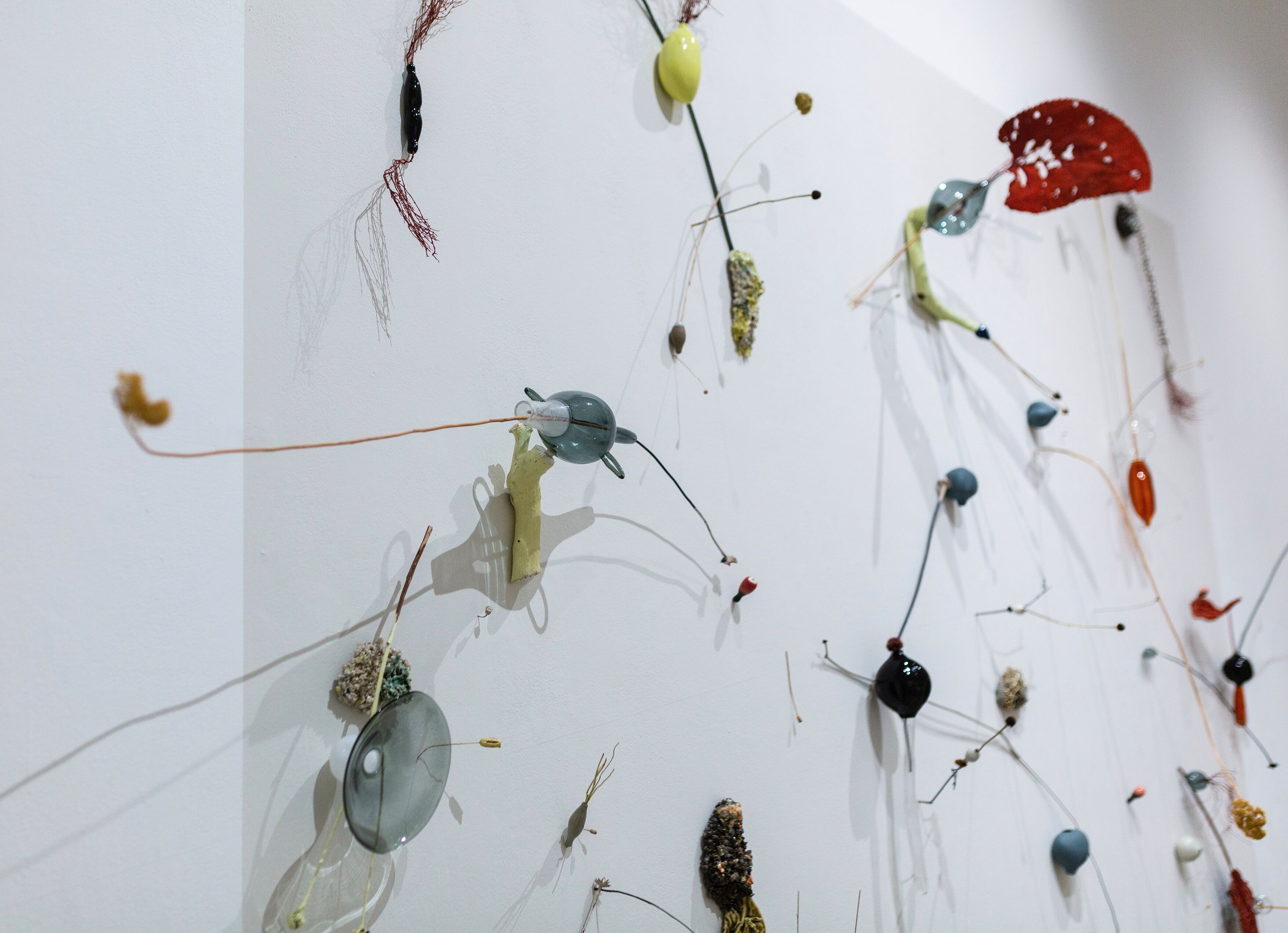 Image for exhibition titled Rosa Nguyen