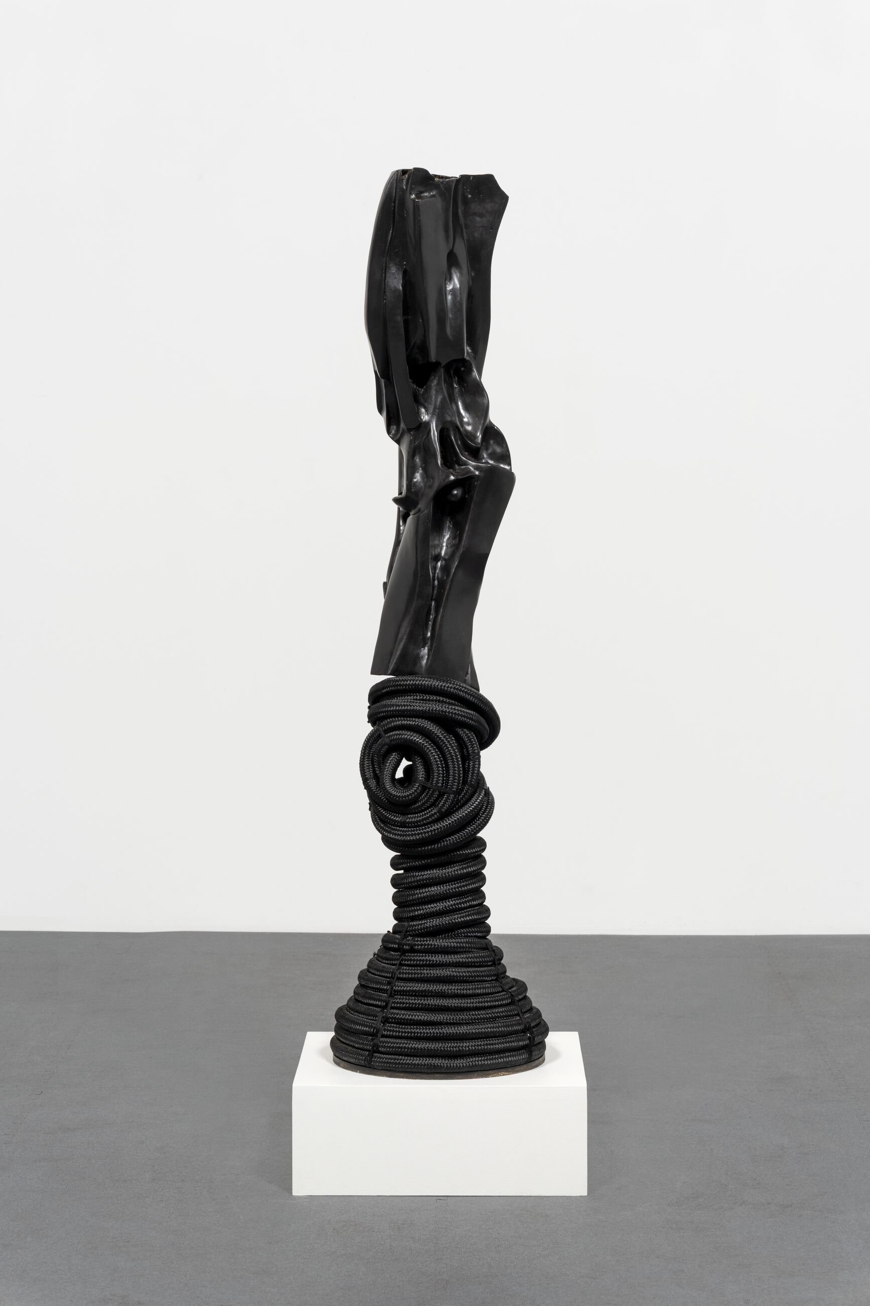Image for exhibition titled Barbara Chase-Riboud