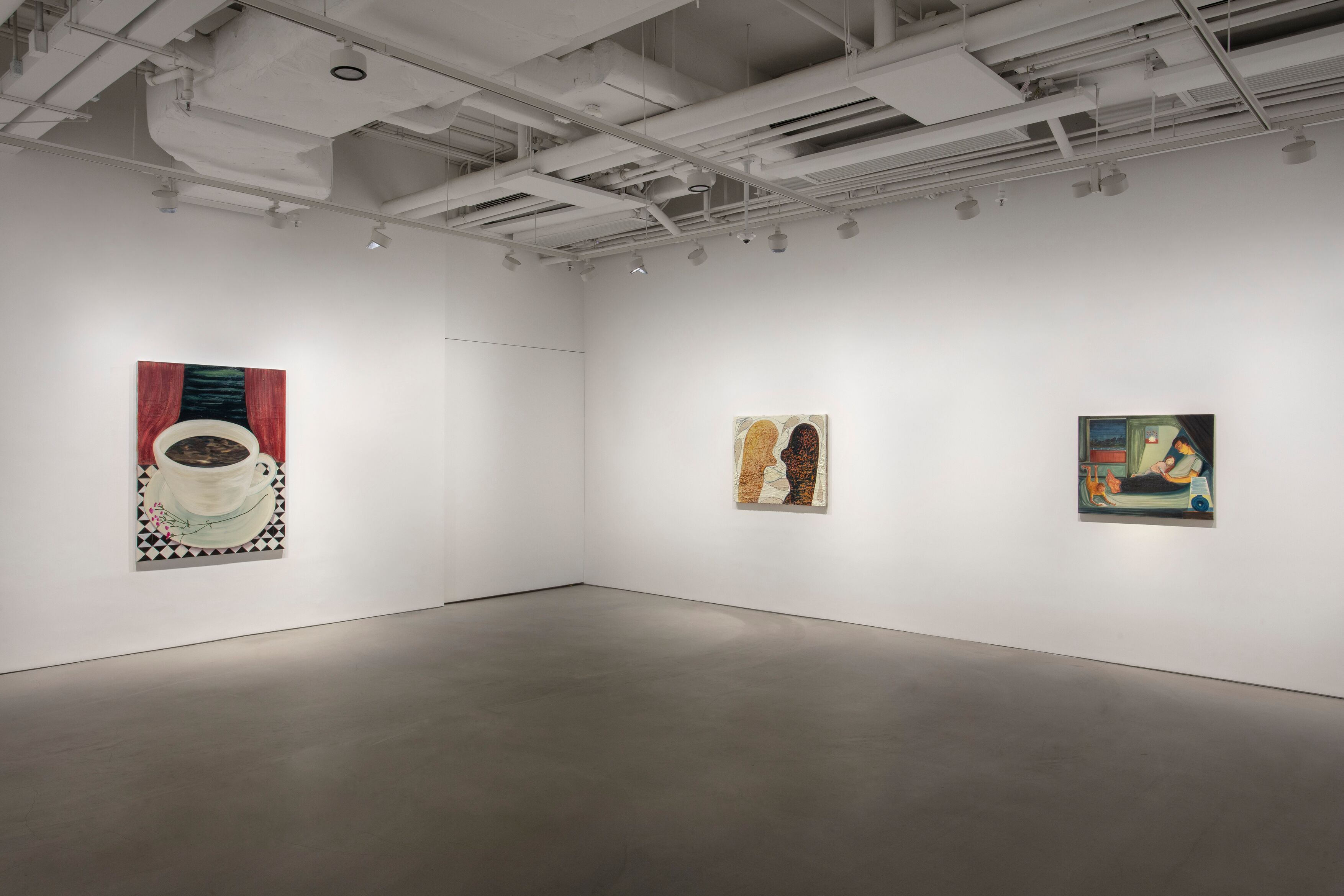 Installation view image for Installation Views